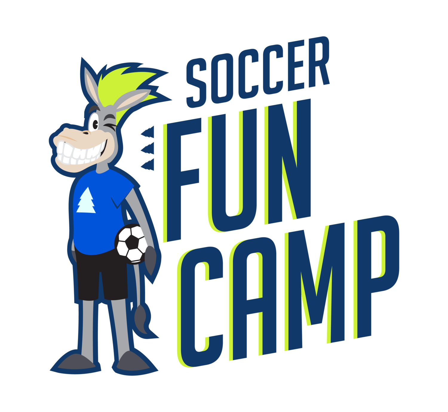 Soccer Fun Camp