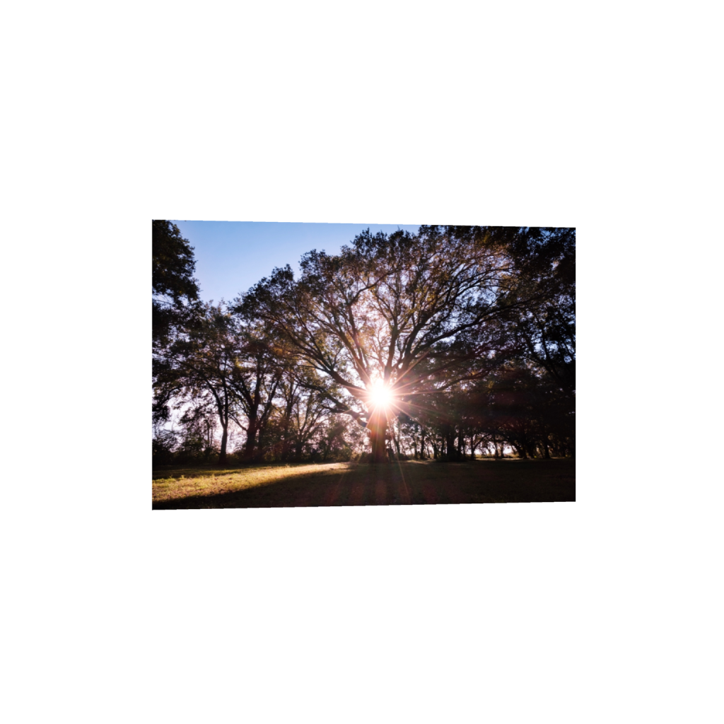 fineartprints_rectangle2_3_0_0_6240_4160_0_false_ffffff_0_0.png