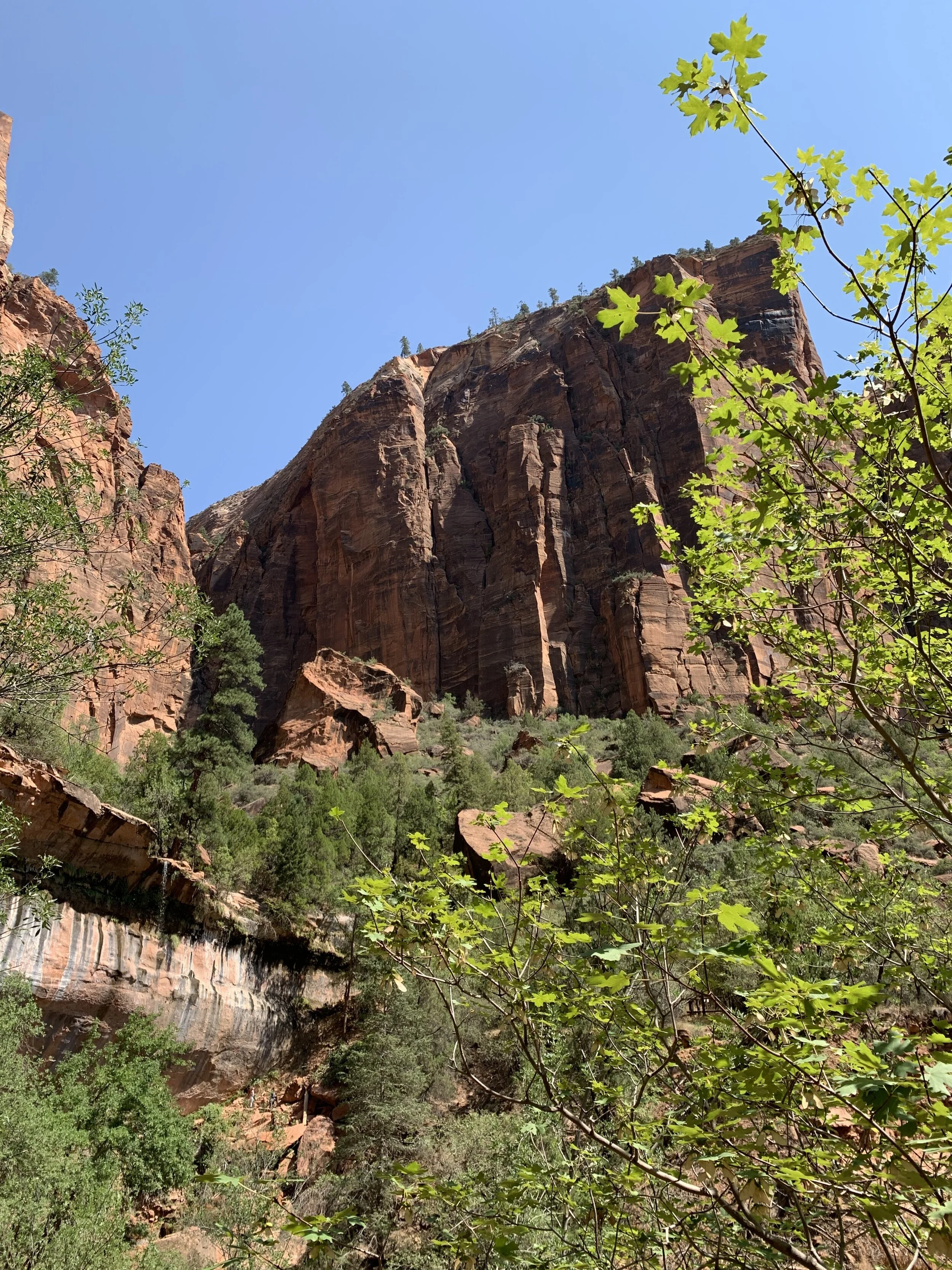 Zion National Park