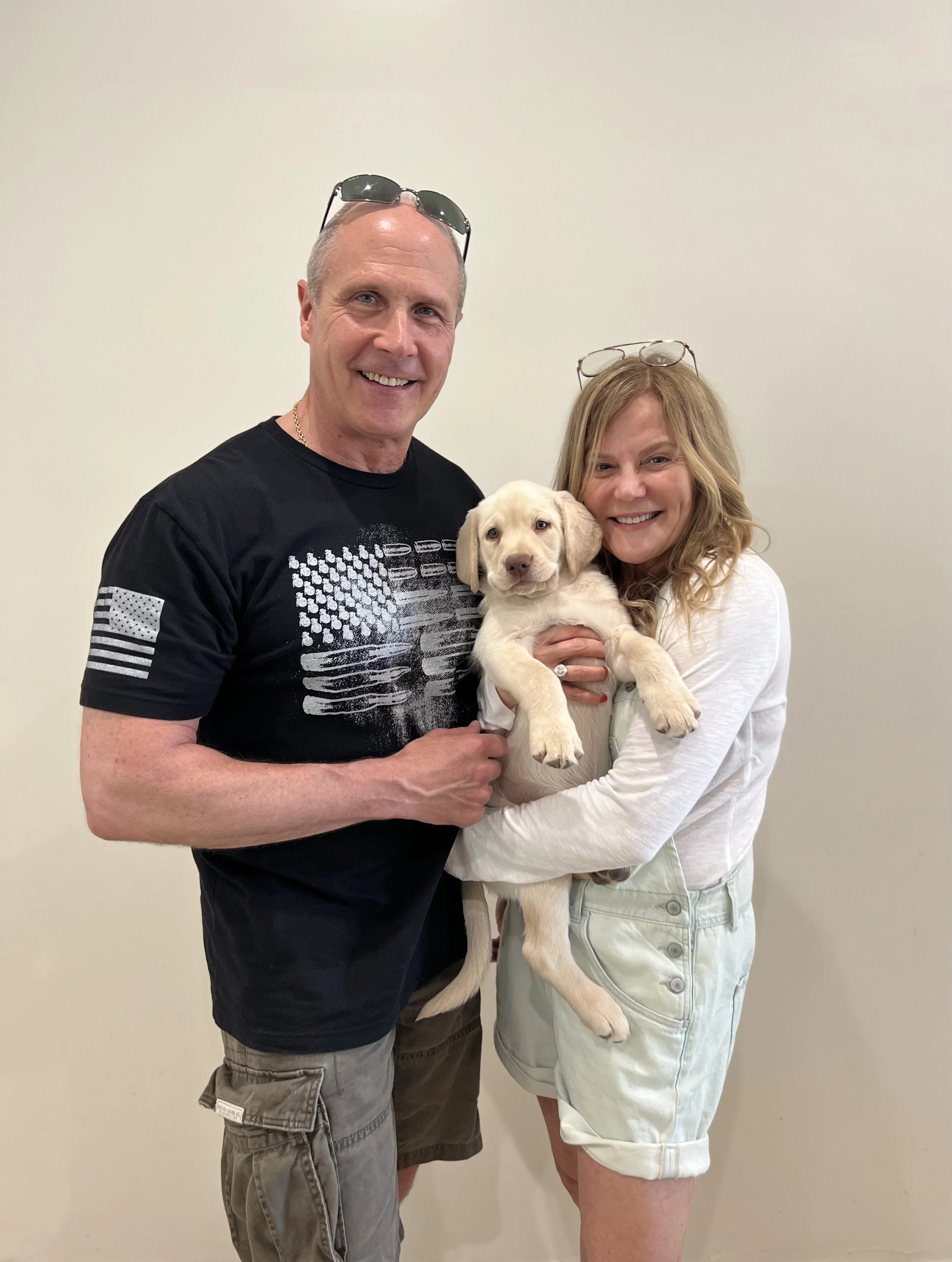 Champagne lab puppy, champagne lab puppies in arizona, dilute Labrador retriever puppies