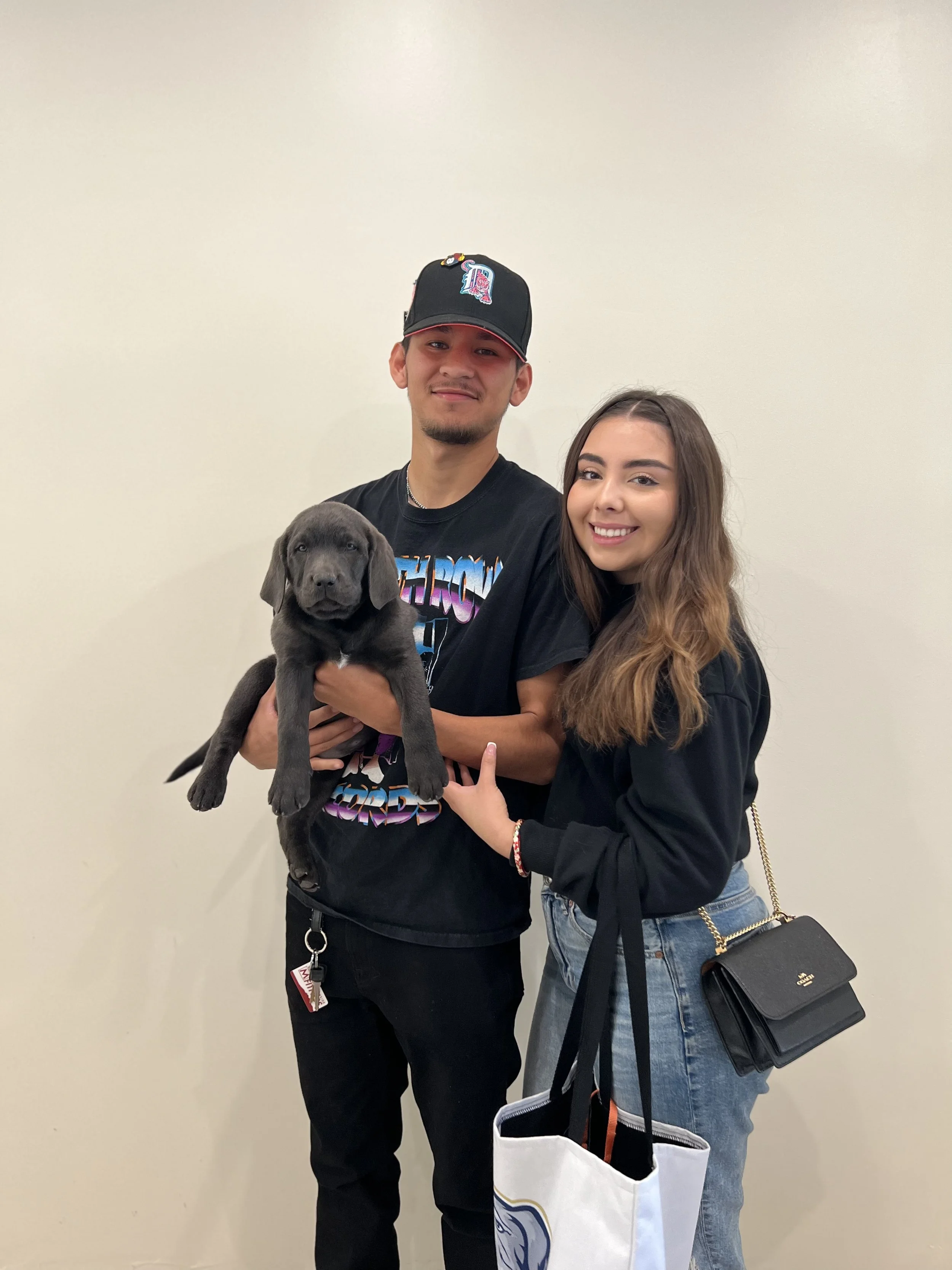 Charcoal lab puppy, charcoal labs in arizona