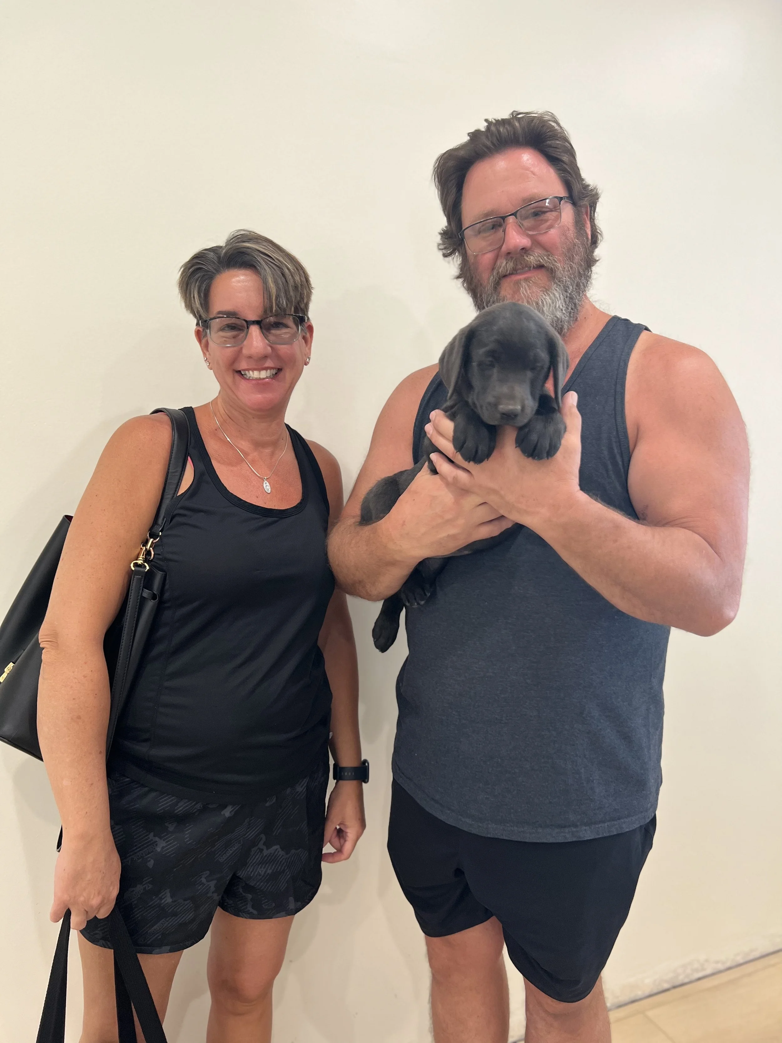 Charcoal Labrador retriever in Arizona, charcoal lab puppies in Arizon