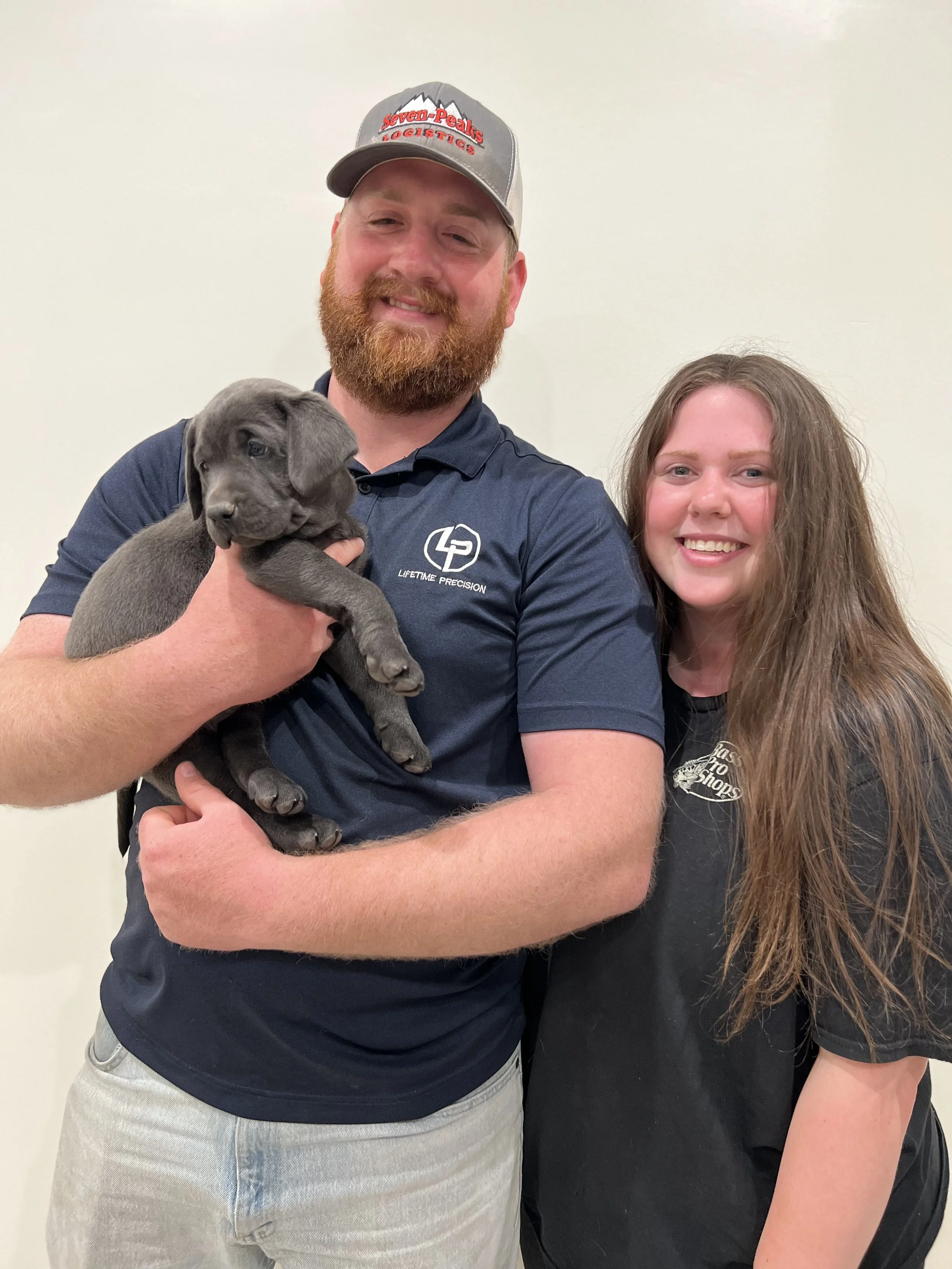 Charcoal lab puppies in arizona, charcoal labrador retriever puppy, charcoal labs