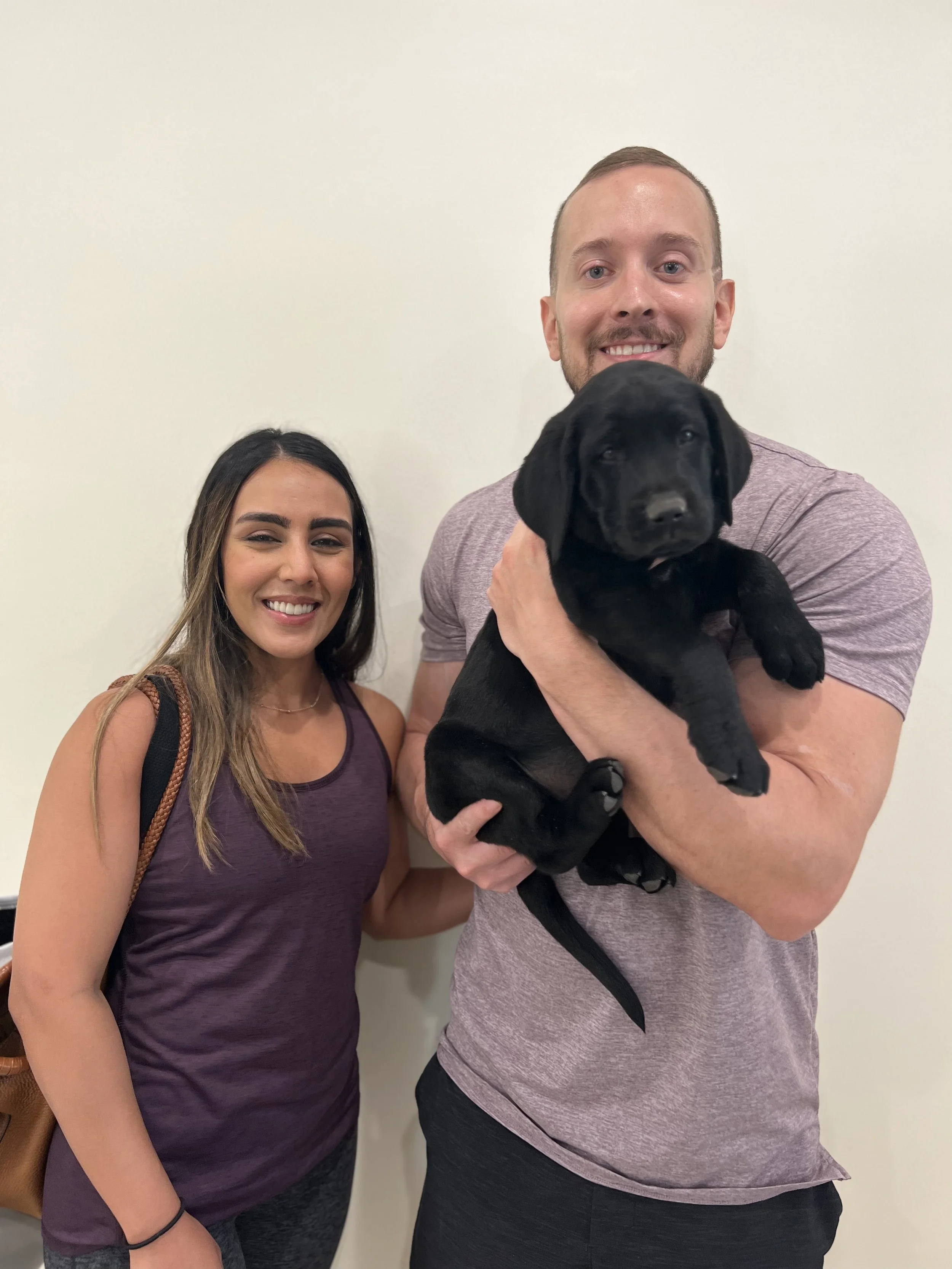 Black lab puppies arizona, black labs in arizona, Arizona Labrador retrievers