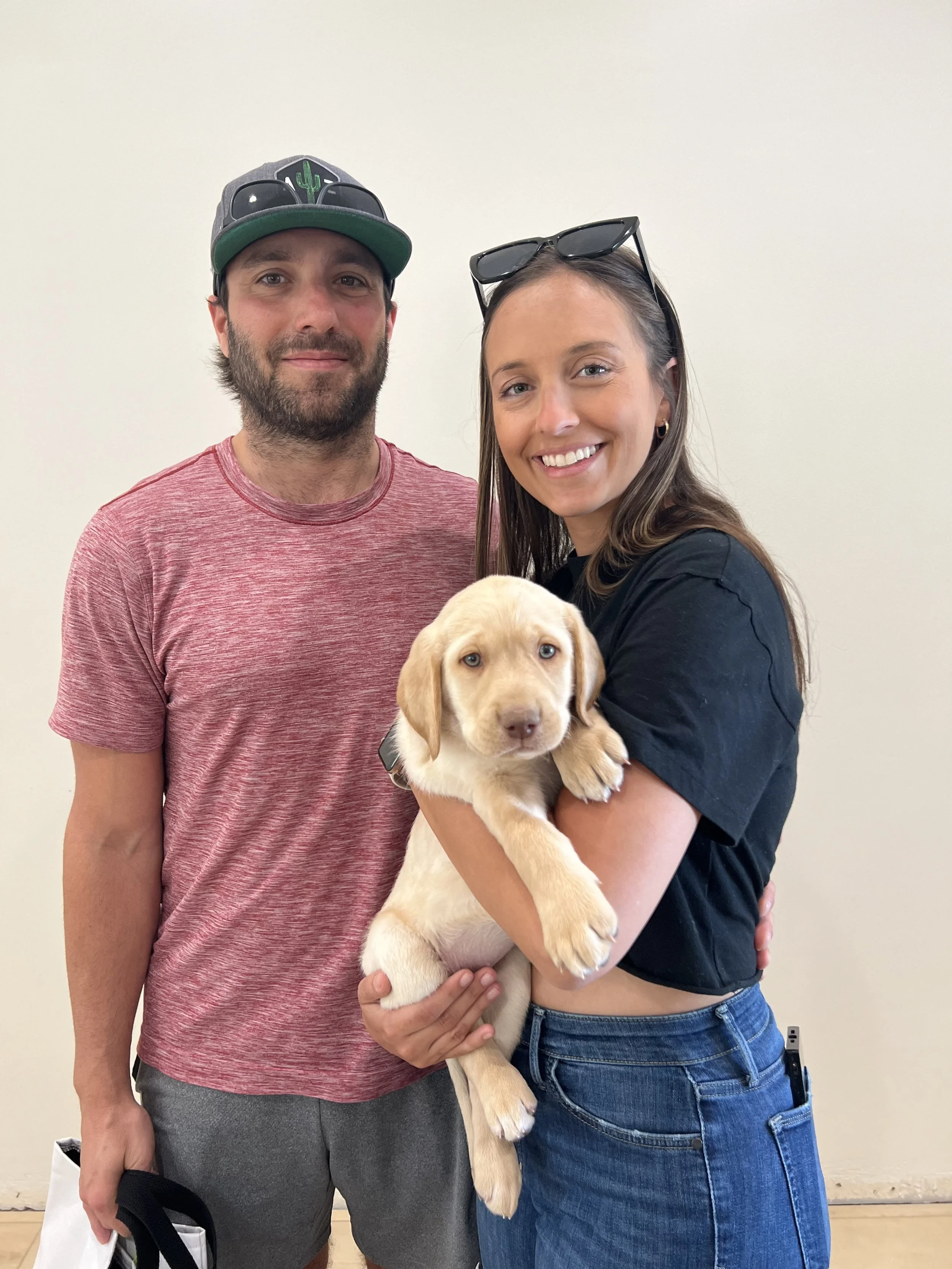 Yellow Labrador retriever puppies in arizona, Labrador retriever in arizona, az Labrador retriever, best lab breeder in arizona