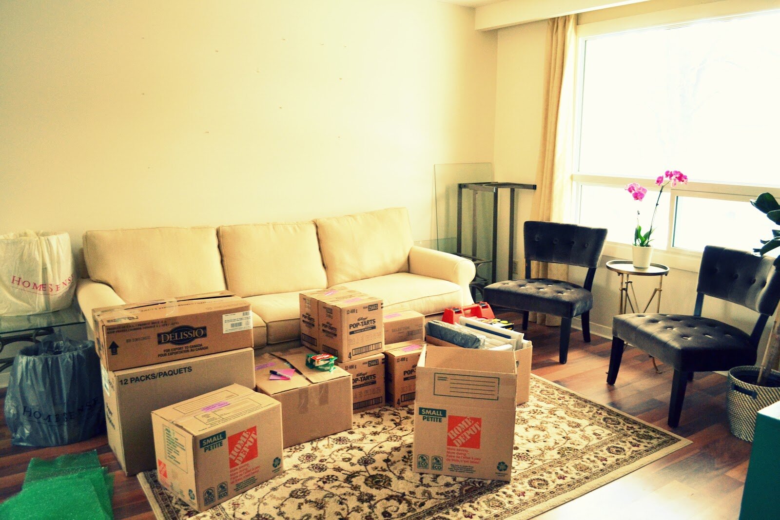 8 Pași prin care să te asiguri că mutatul nu devine un coșmar