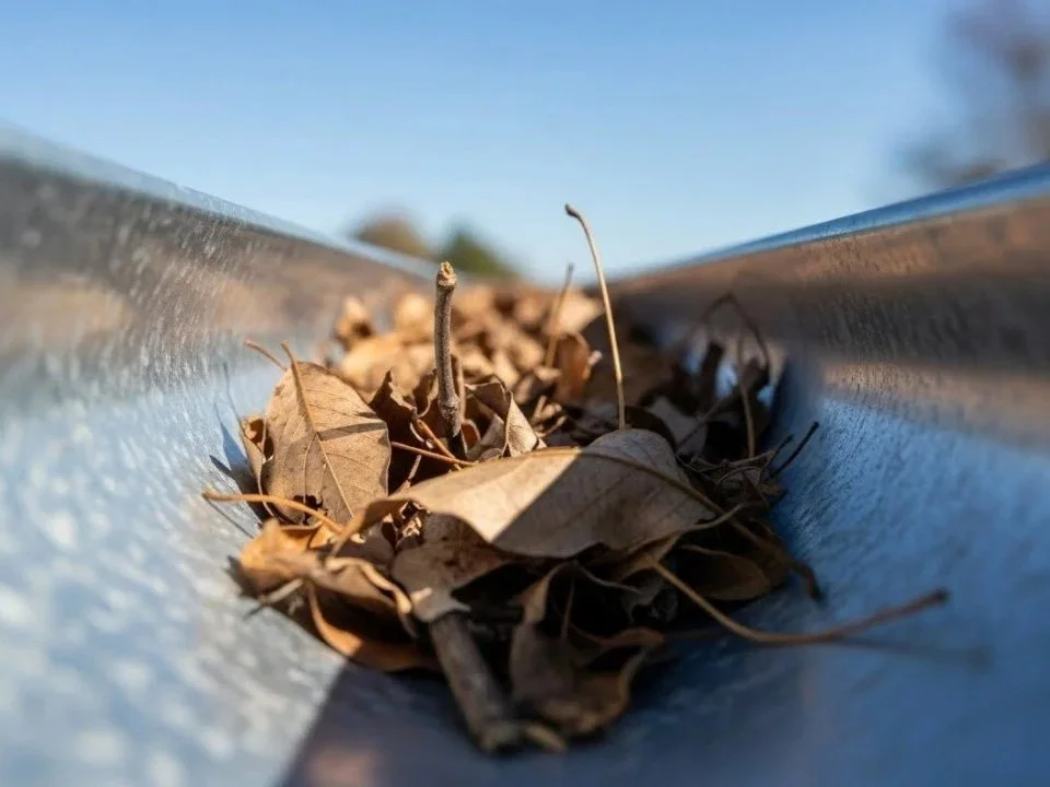 Curăţarea Și Întreținerea Jgheaburilor Și Burlanelor