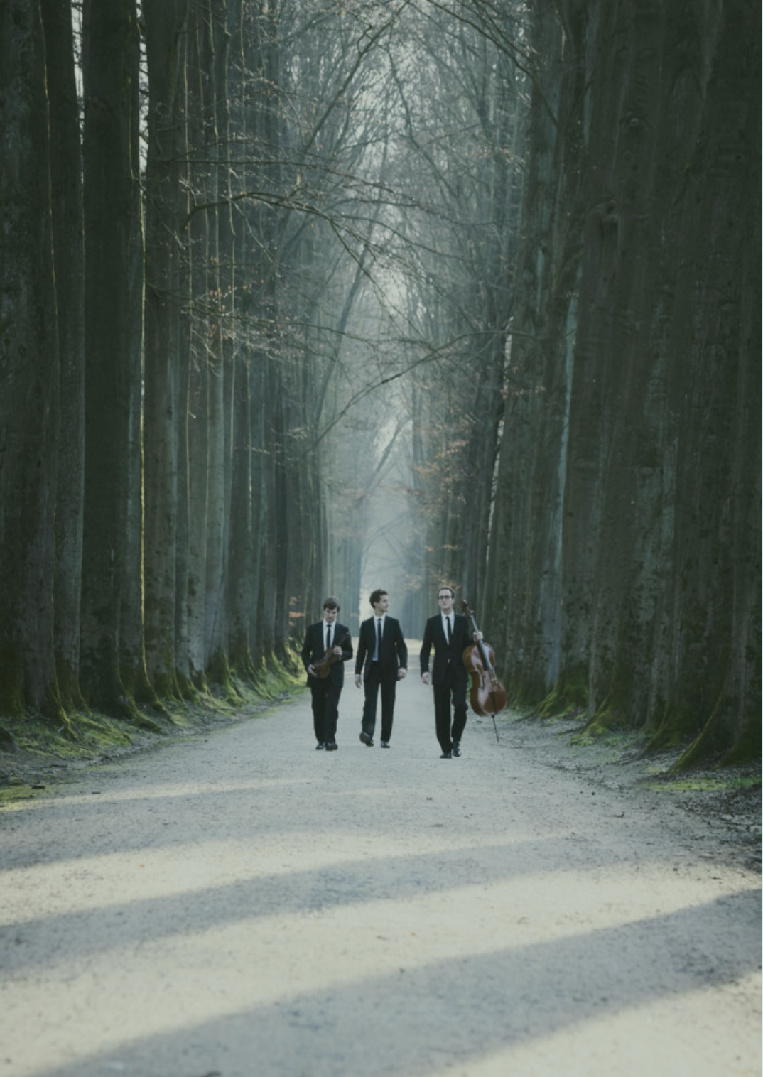 Image 03-03-2026 at 13.41.png