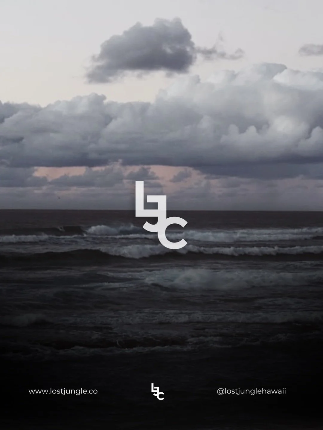 Light always finds a way through. So does creation. Don&rsquo;t get lost in the dark. #lostjungleco