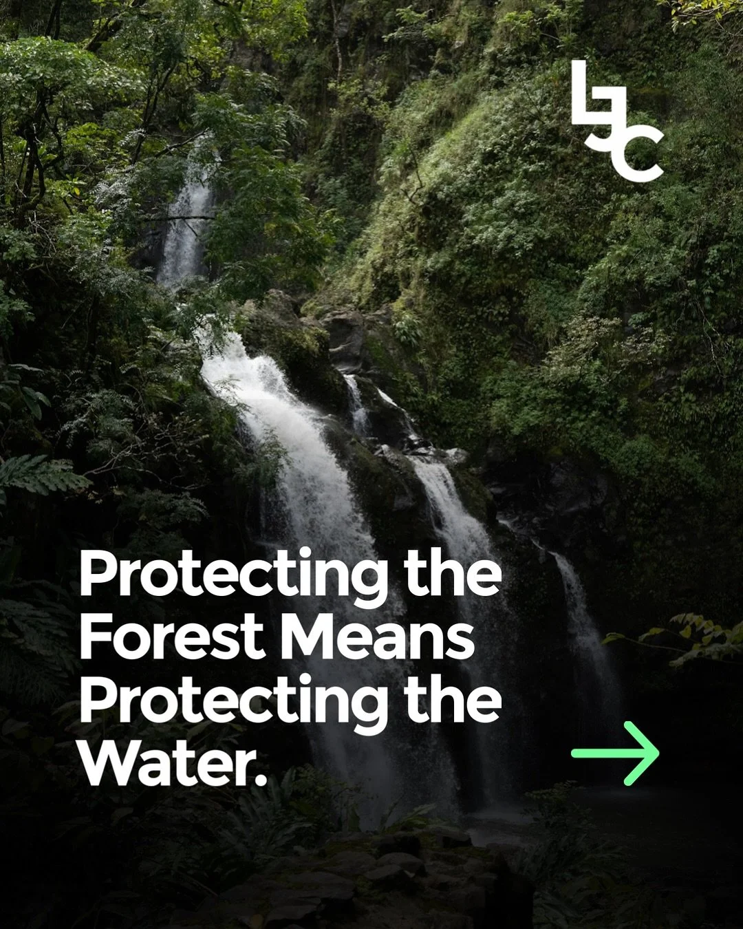 Protecting the forest means protecting the water.

Hawai&rsquo;i&rsquo;s forests aren&rsquo;t just scenery &mdash; they&rsquo;re living watersheds. Native trees like koa and &lsquo;&ouml;hi&rsquo;a pull moisture from the clouds, slow the rain, and fe