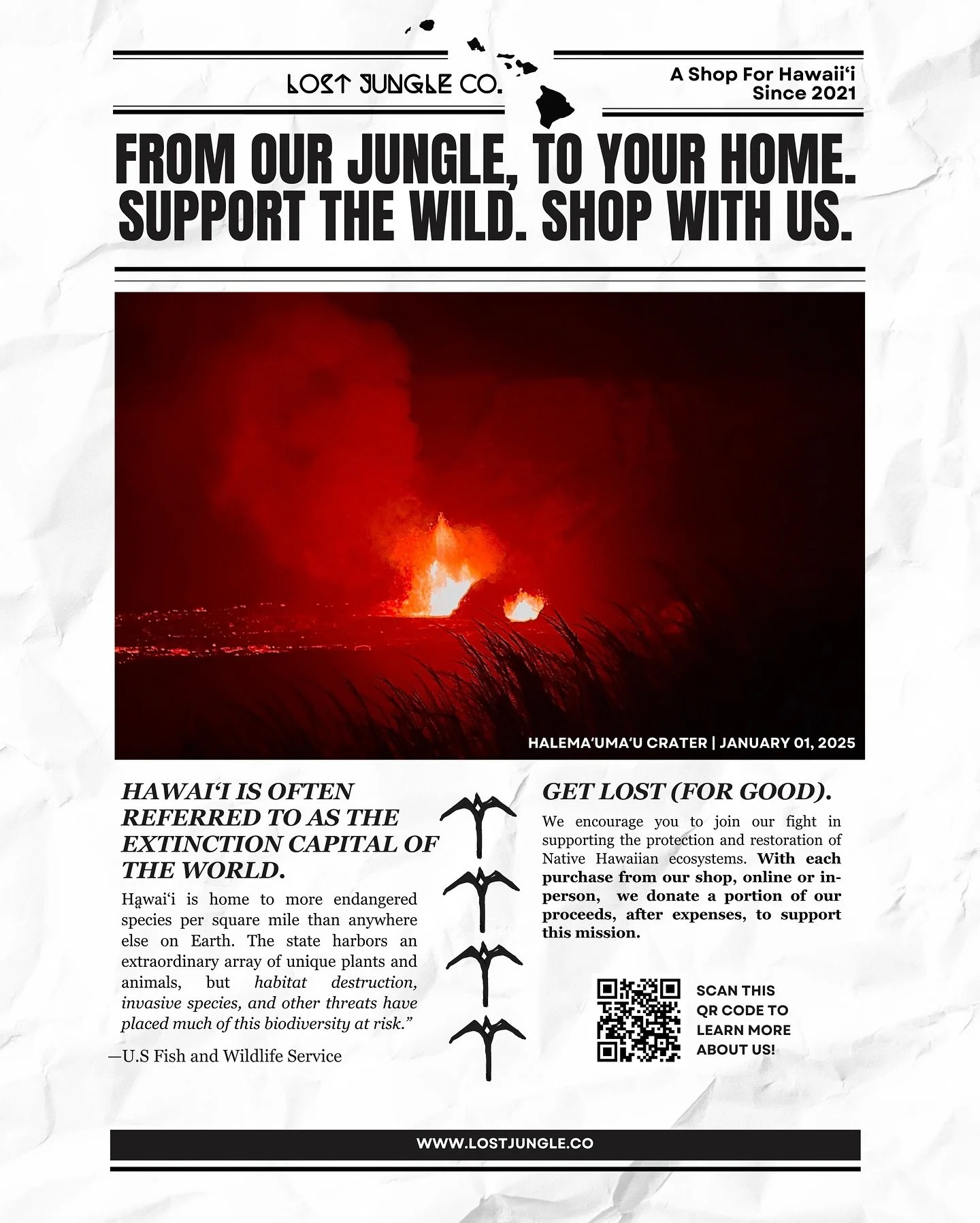 Support the wild. Shop with us. 
New items now available on our site.