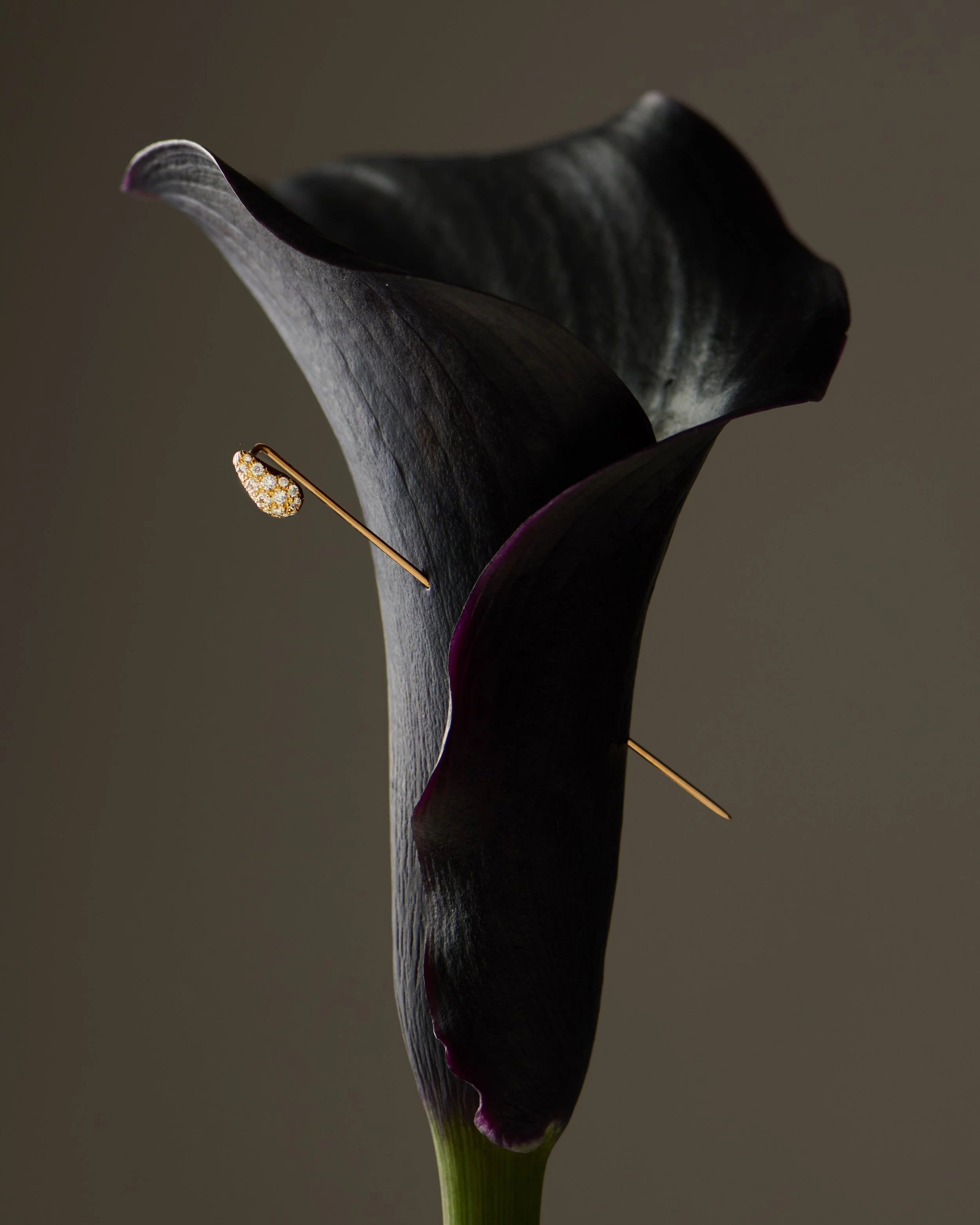 CUPIDON RETOUCHE╠ü V2.jpg