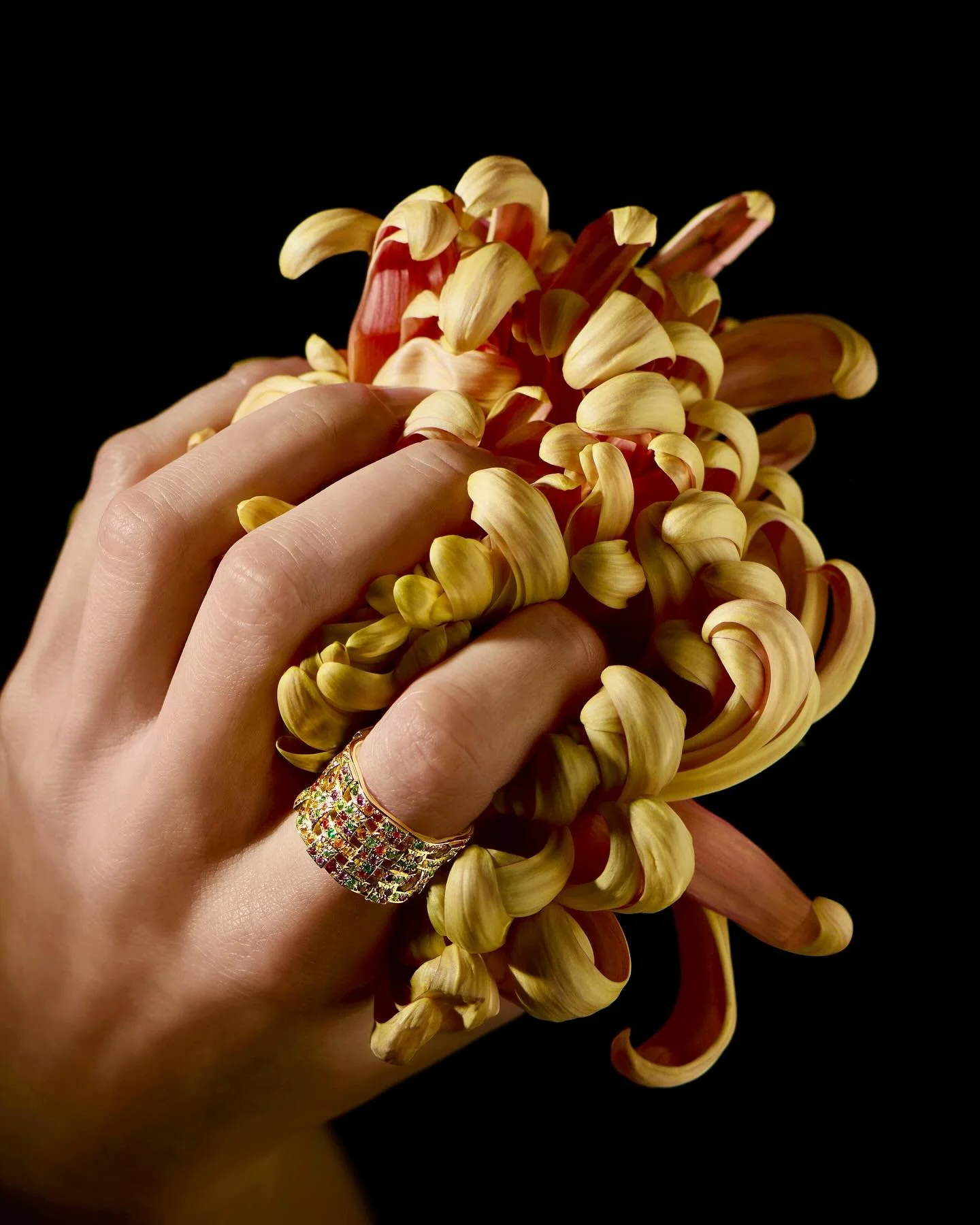 Mes pi&egrave;ces de joaillerie sont une expression de ma vision du monde. C&rsquo;est peut-&ecirc;tre pour cela que j&rsquo;aime tant collaborer avec des artistes pour les photographier. Des artistes qui s&rsquo;approprient mon travail, mon monde, a