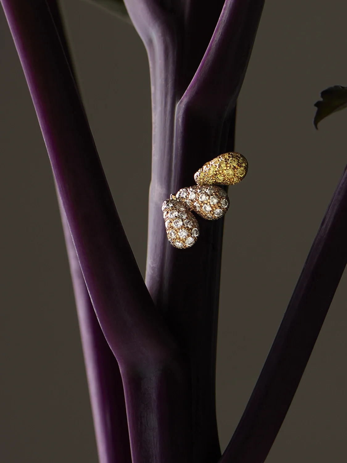 13_NM_091_R4 CADRE╠üE.webp