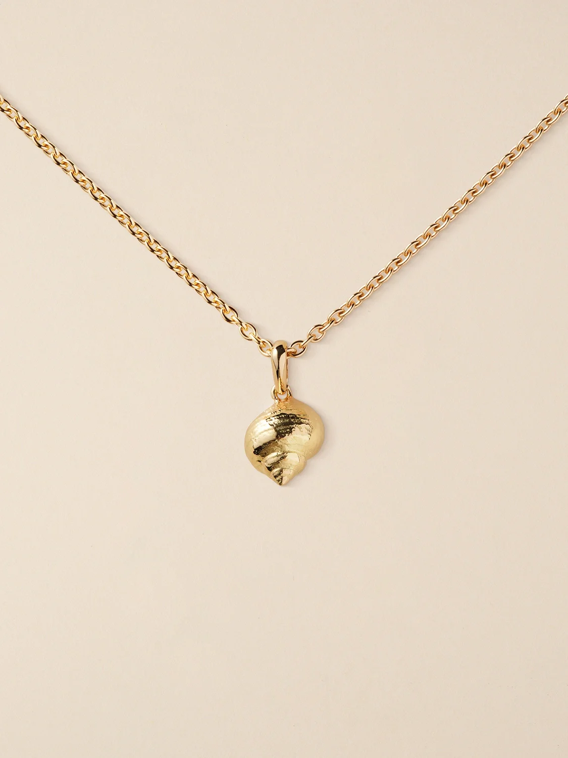 COLLIER_COQUILLAGE_01_OR_RECTO_CROP.webp