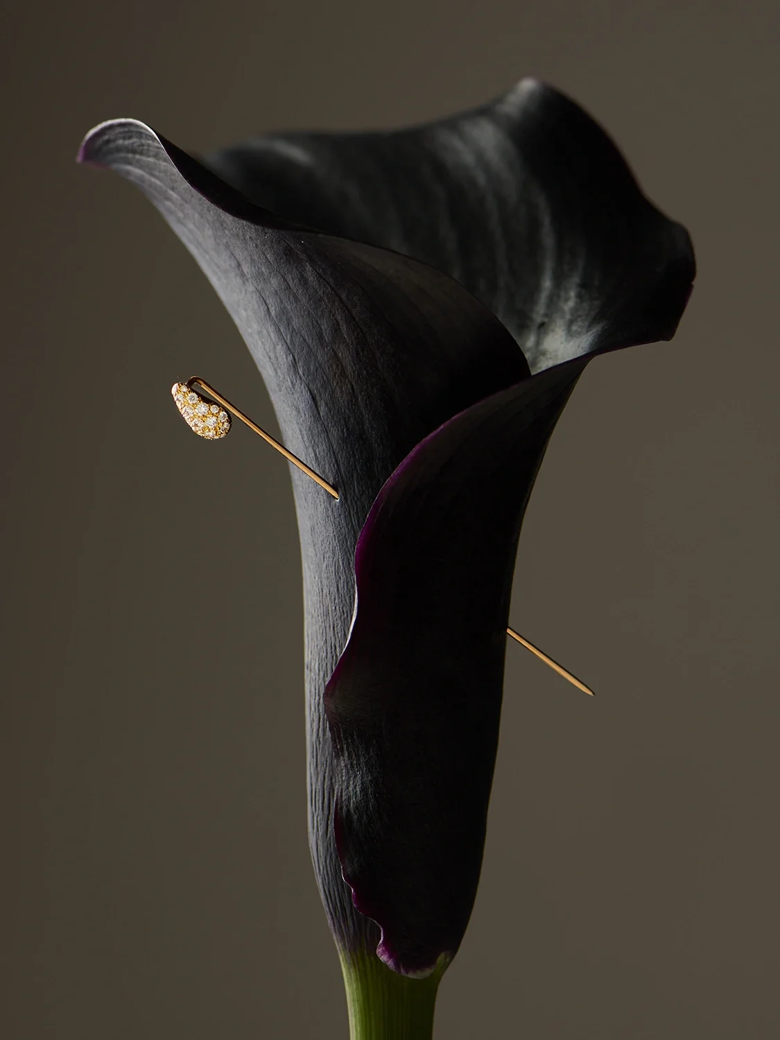 CUPIDON RETOUCHE╠ü V2.webp