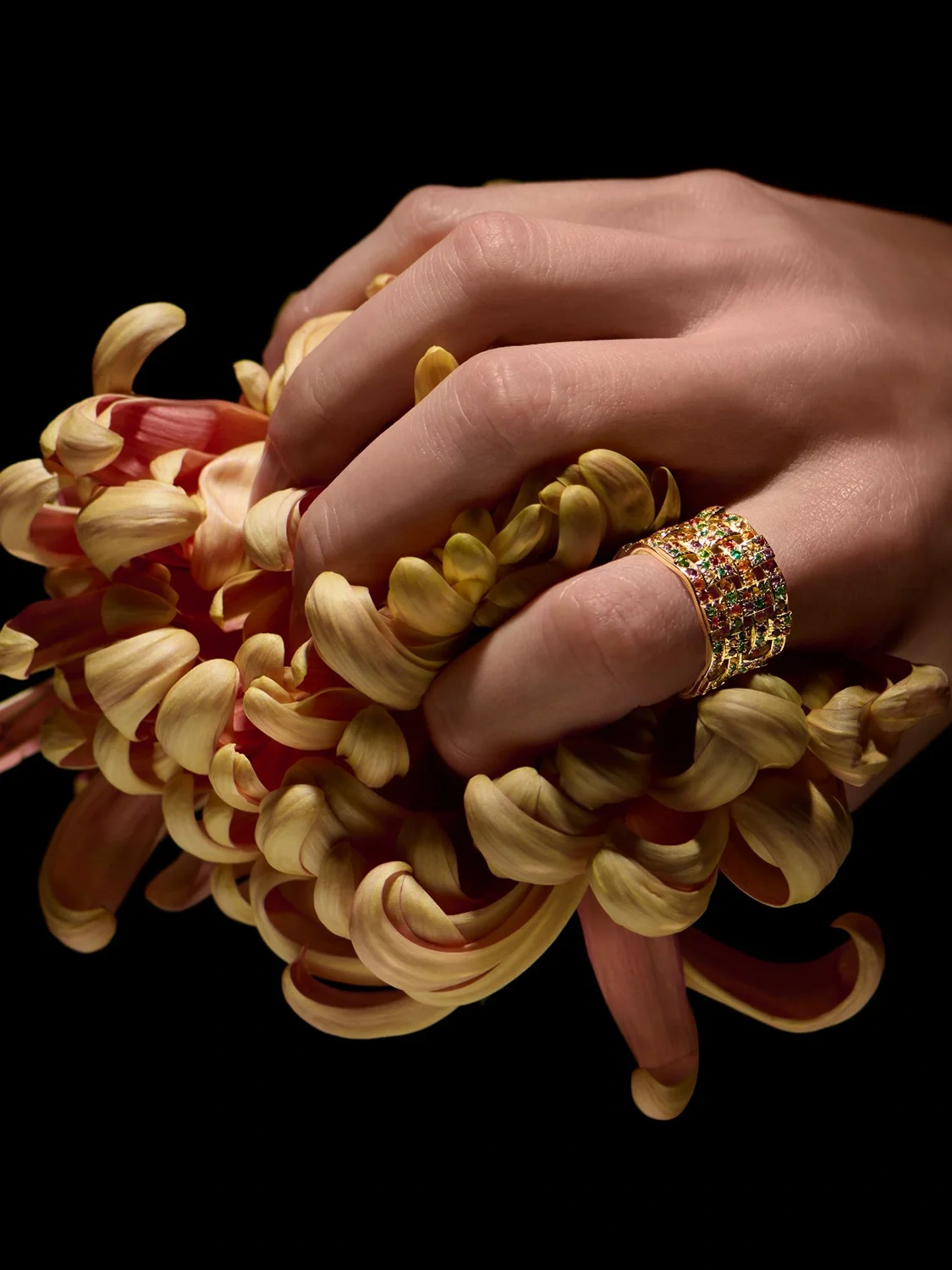 WhatsApp Image 2025-12-03 at 12.32.40.webp