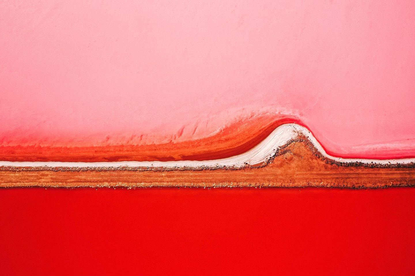My favourite print &lsquo;Hutt Lagoon&rsquo; is available in large and mini sizes online ❤️🩷