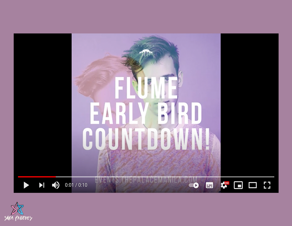 Flume at The Palace
