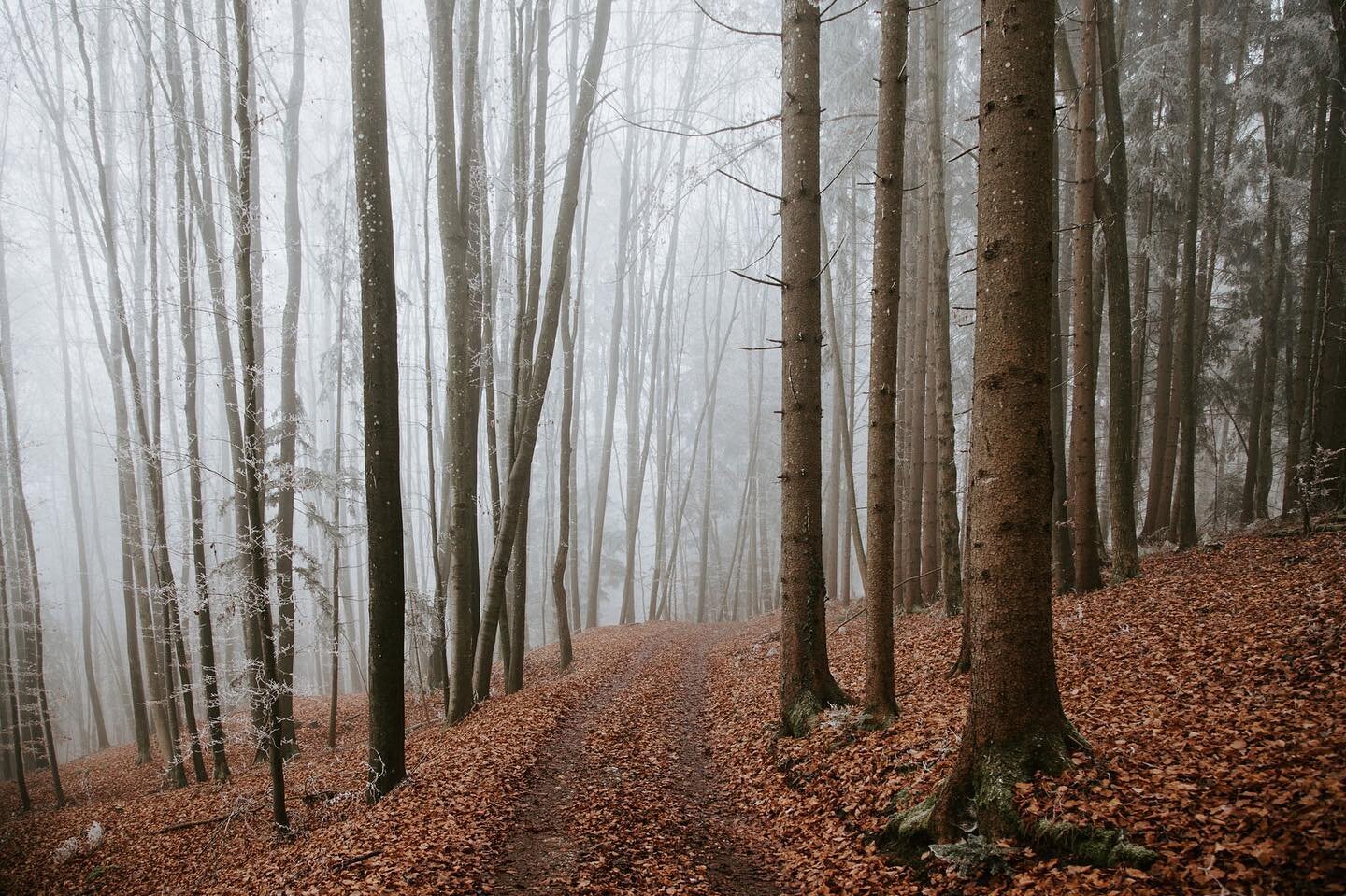 Vom Leben
Du hast nur das eine

Nur ein Mal. Nur ein einziges Mal wirst Du so sein, wie du heute bist. Nur ein Mal. Nur ein einziges Mal wirst Du so aussehen, wie du heute bist. Nur ein Mal so f&uuml;hlen wie du es heute tust, und&hellip; nur einmal 