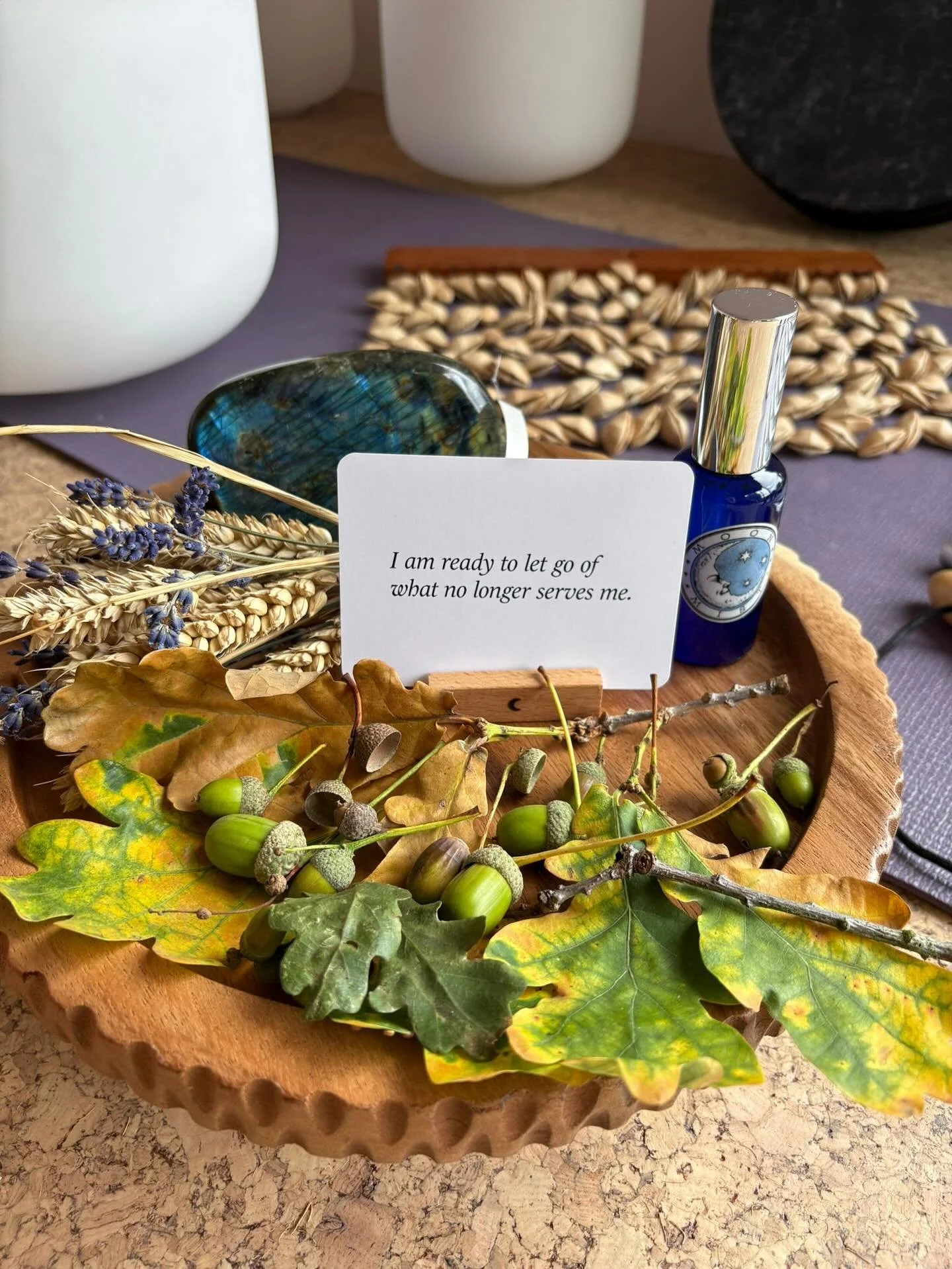 Before I forget how to post altogether (it&rsquo;s been weeks!), I&rsquo;m showing up with a little wrap up of last Saturday&rsquo;s Shifting Seasons retreat day, and the christening of the new garden retreat space 🥰

So here we have:

1. Seasonal v