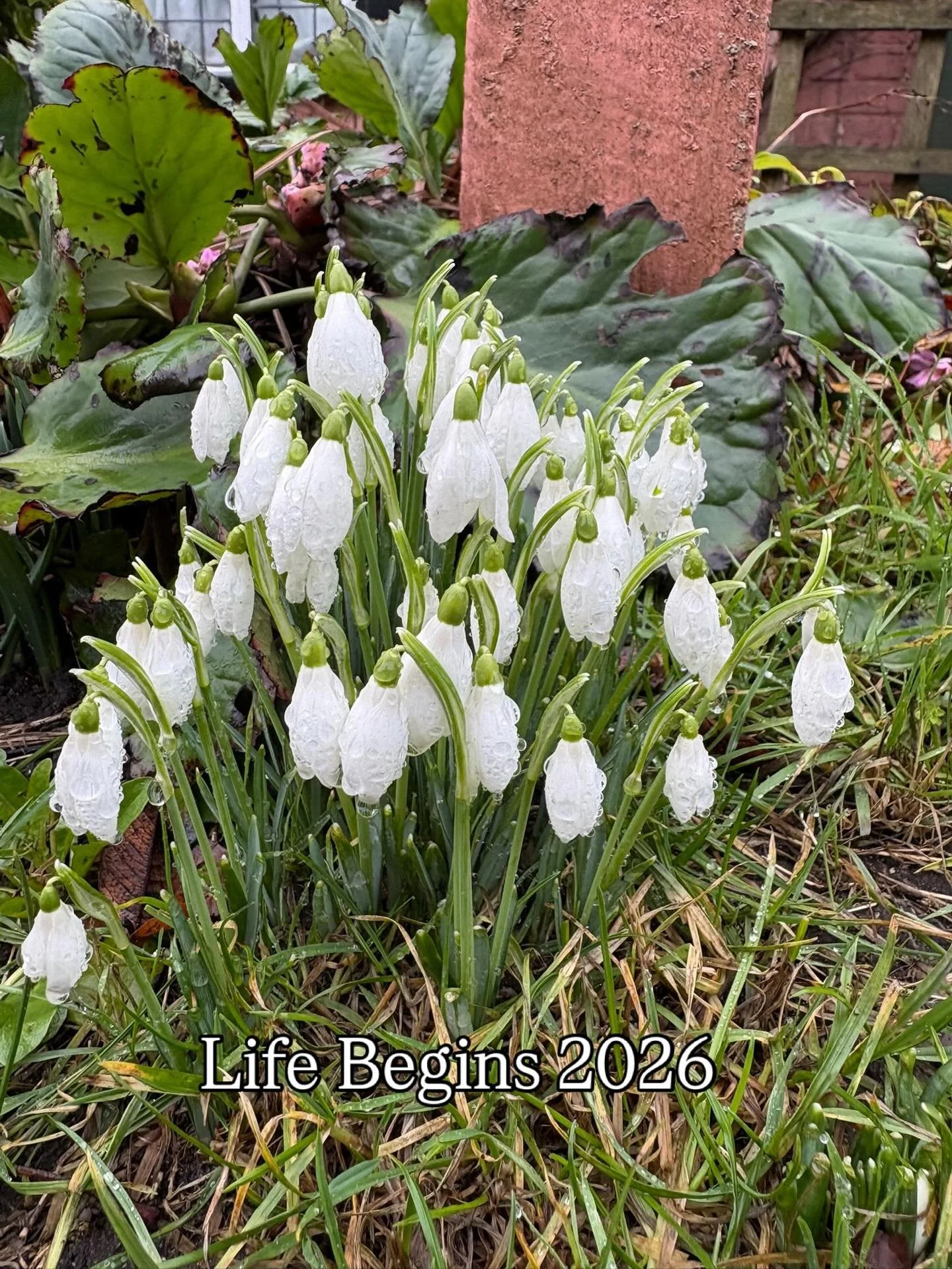 🌱Life Begins🌱

On the eve of Imbolc, we returned to Walberswick 🤍 for this year&rsquo;s Life Begins retreat. 

A few days have passed since then, and the themes of rebirth and new beginnings remain at the processing stage - a persistent presence e