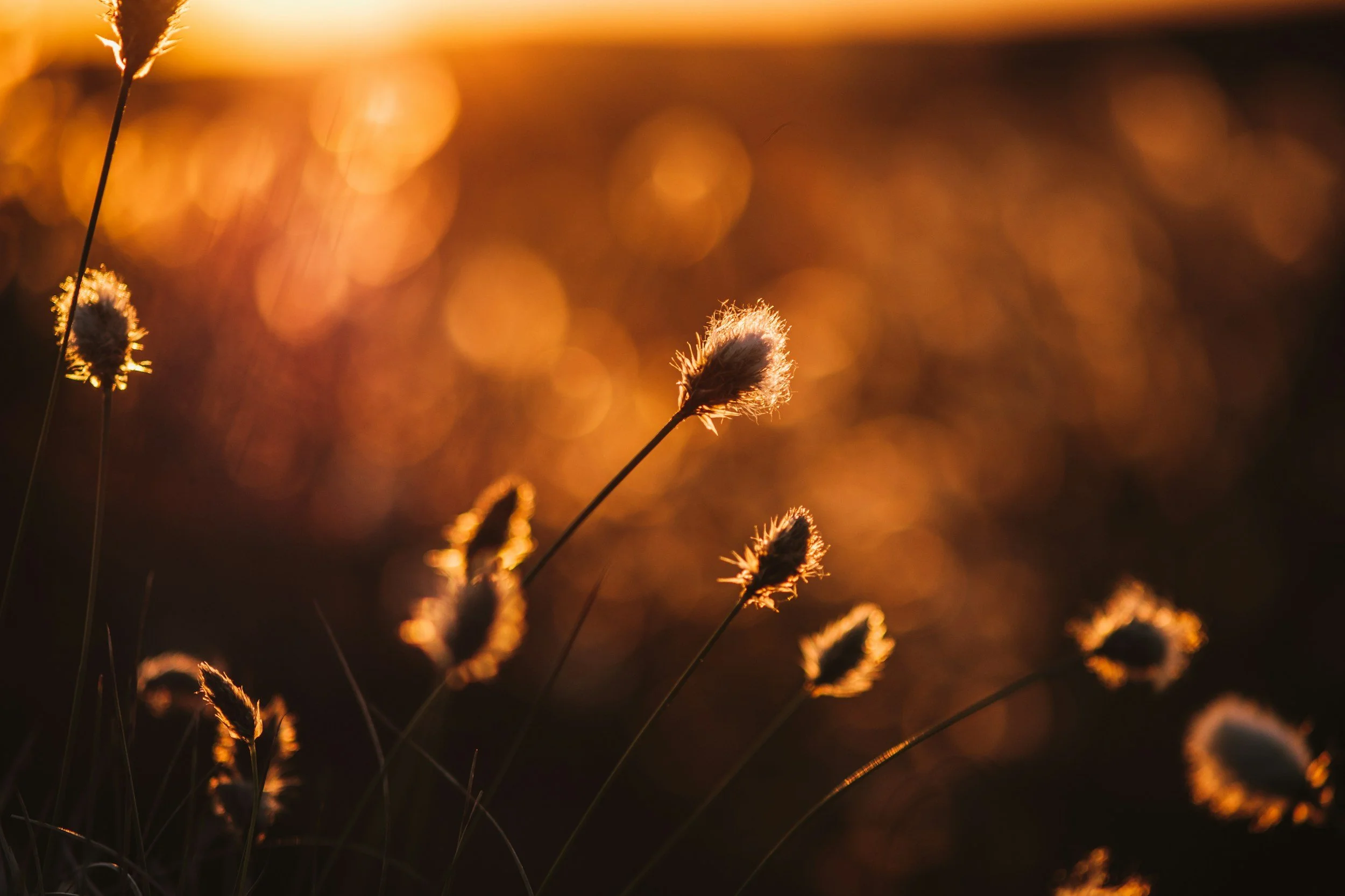 You Are Golden Autumn Retreat Day