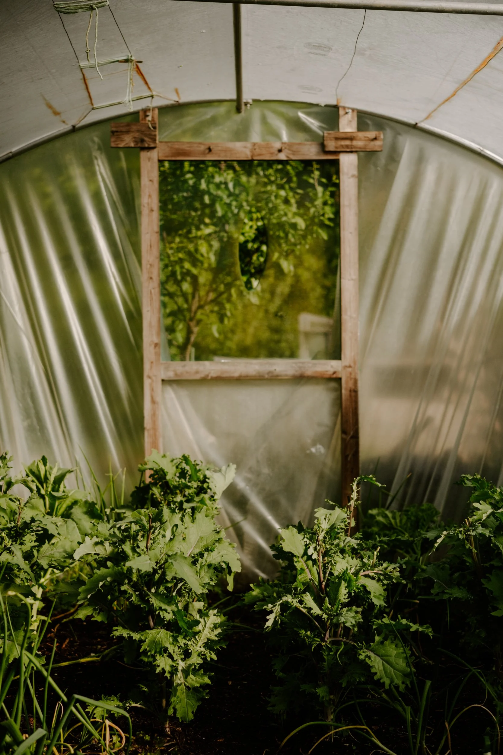 A Year At The Allotment_April-133.jpg
