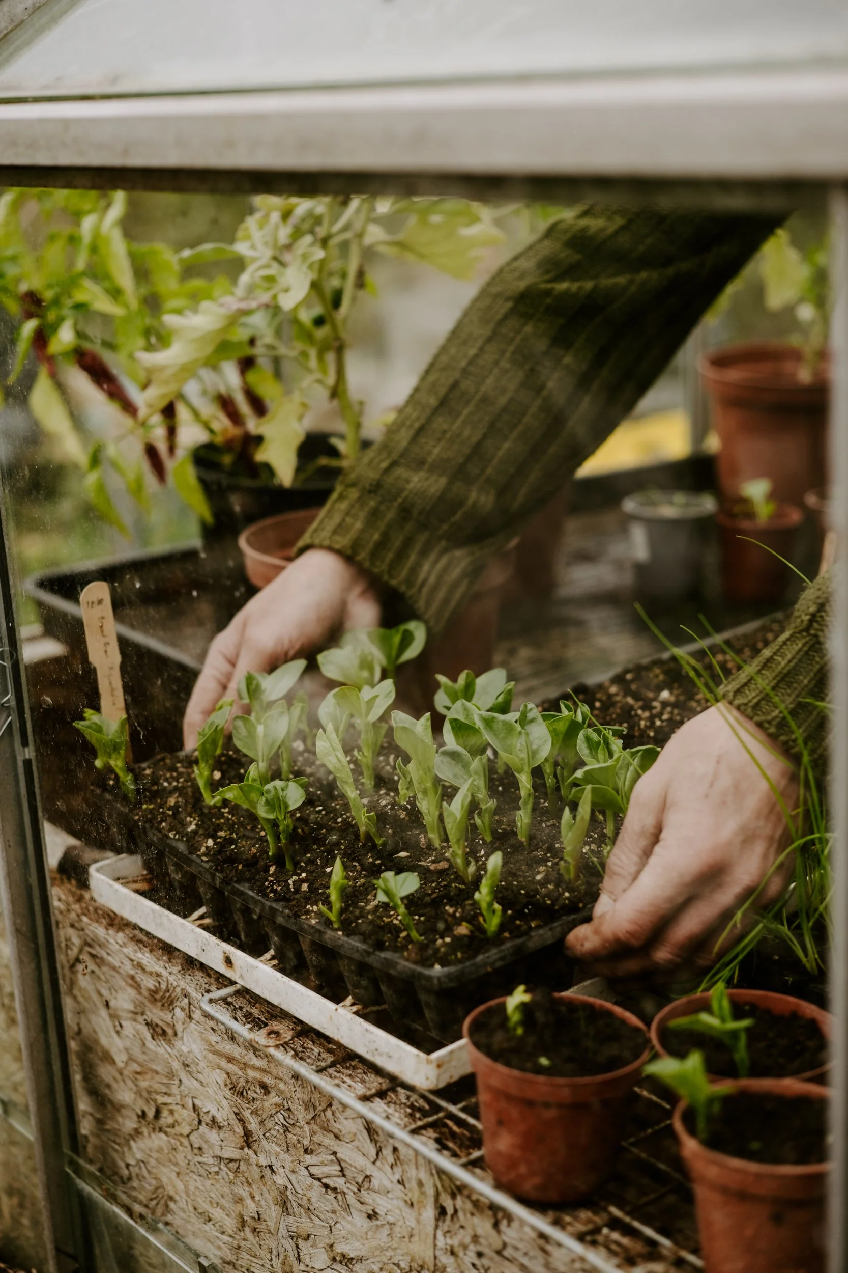A Year on the Allotment_October 2025-374.jpg