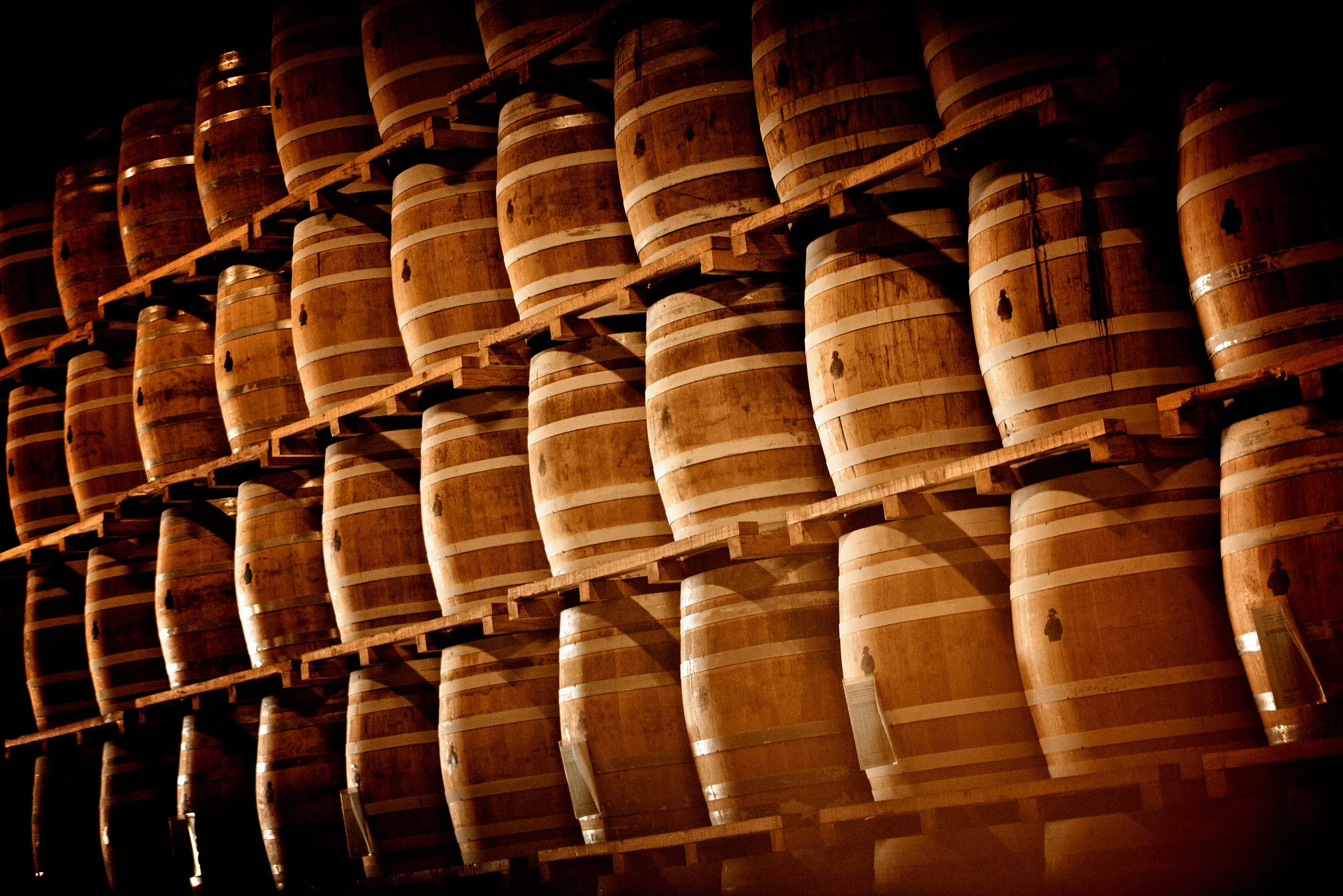 Thomas Skovsende Website-The Craft Of Cognac-143-2.jpg
