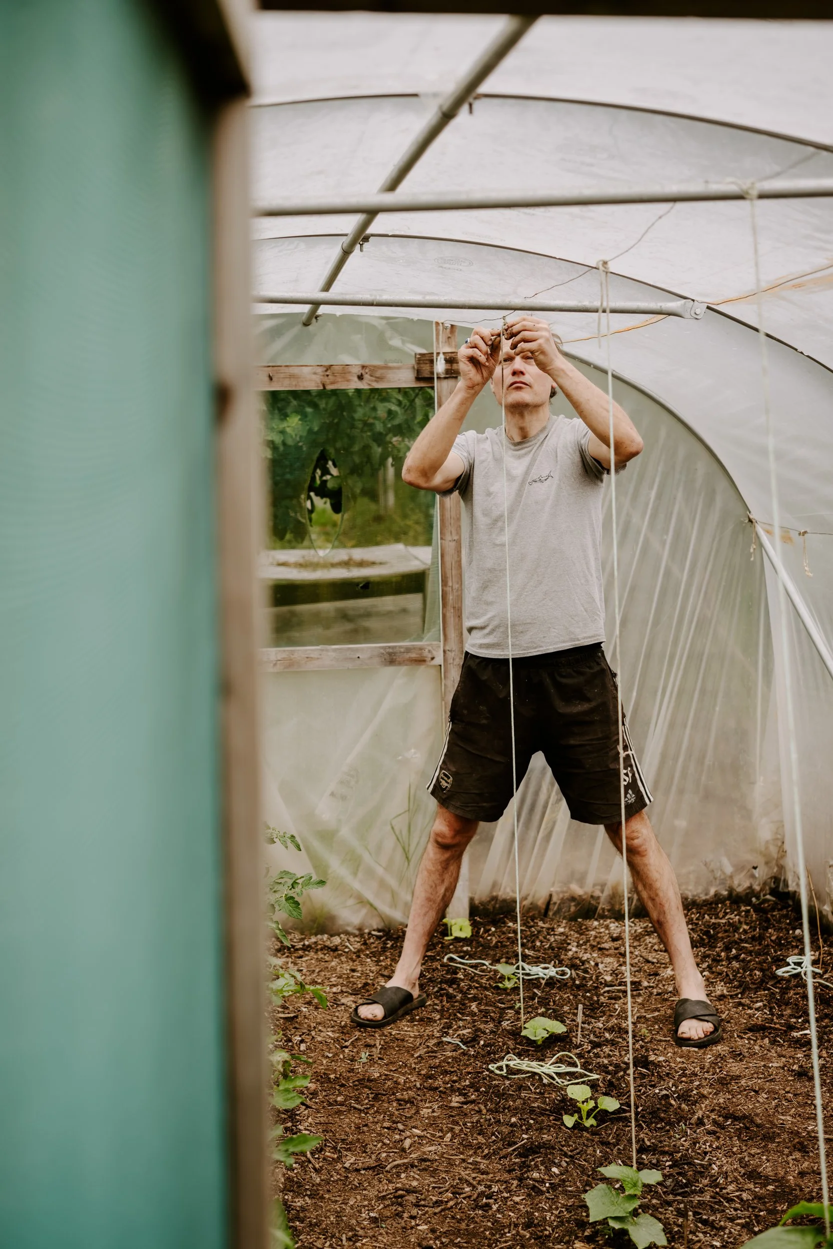 A Year At The Allotment_June-164.jpg