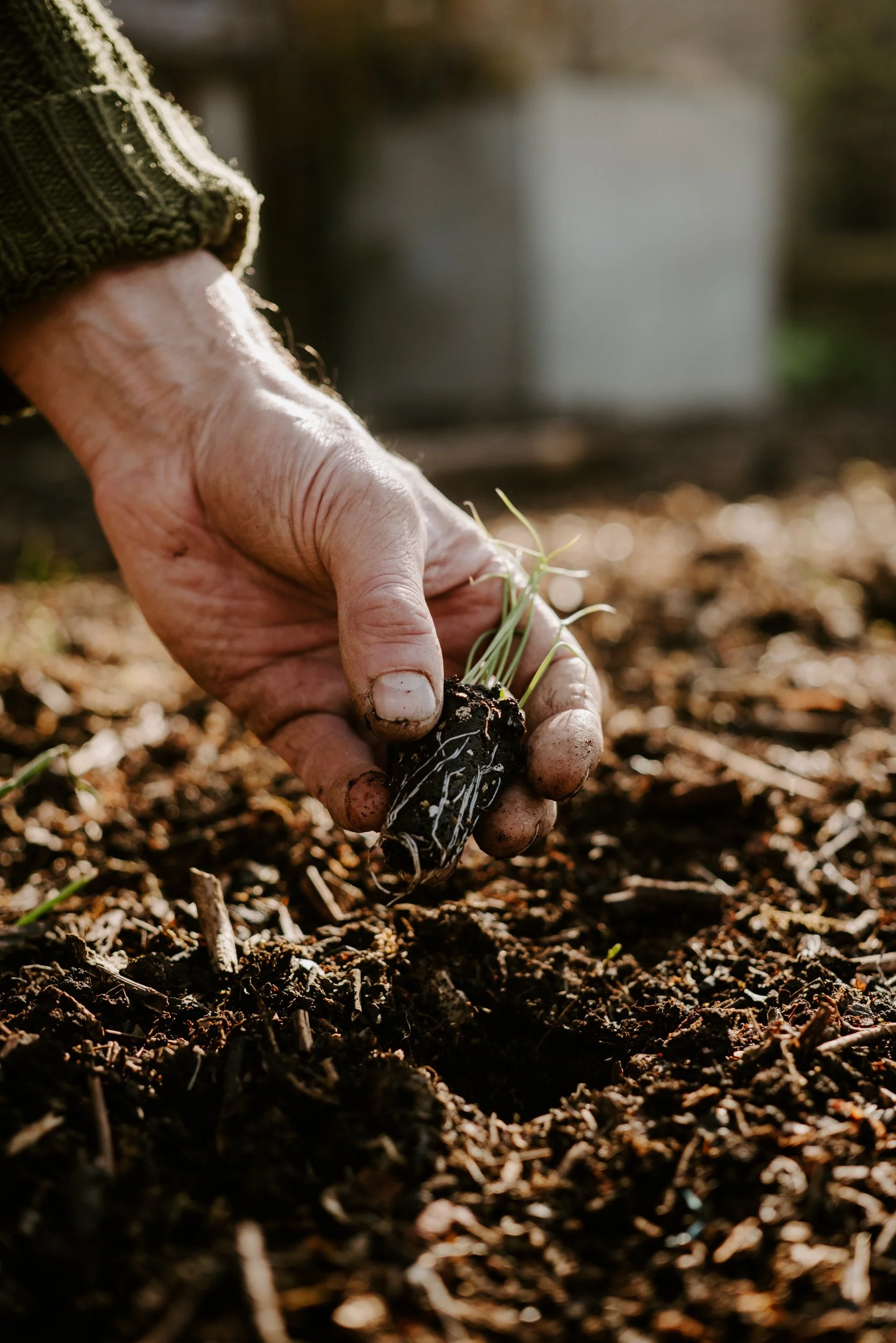 A Year at the Allotment_March-168.jpg
