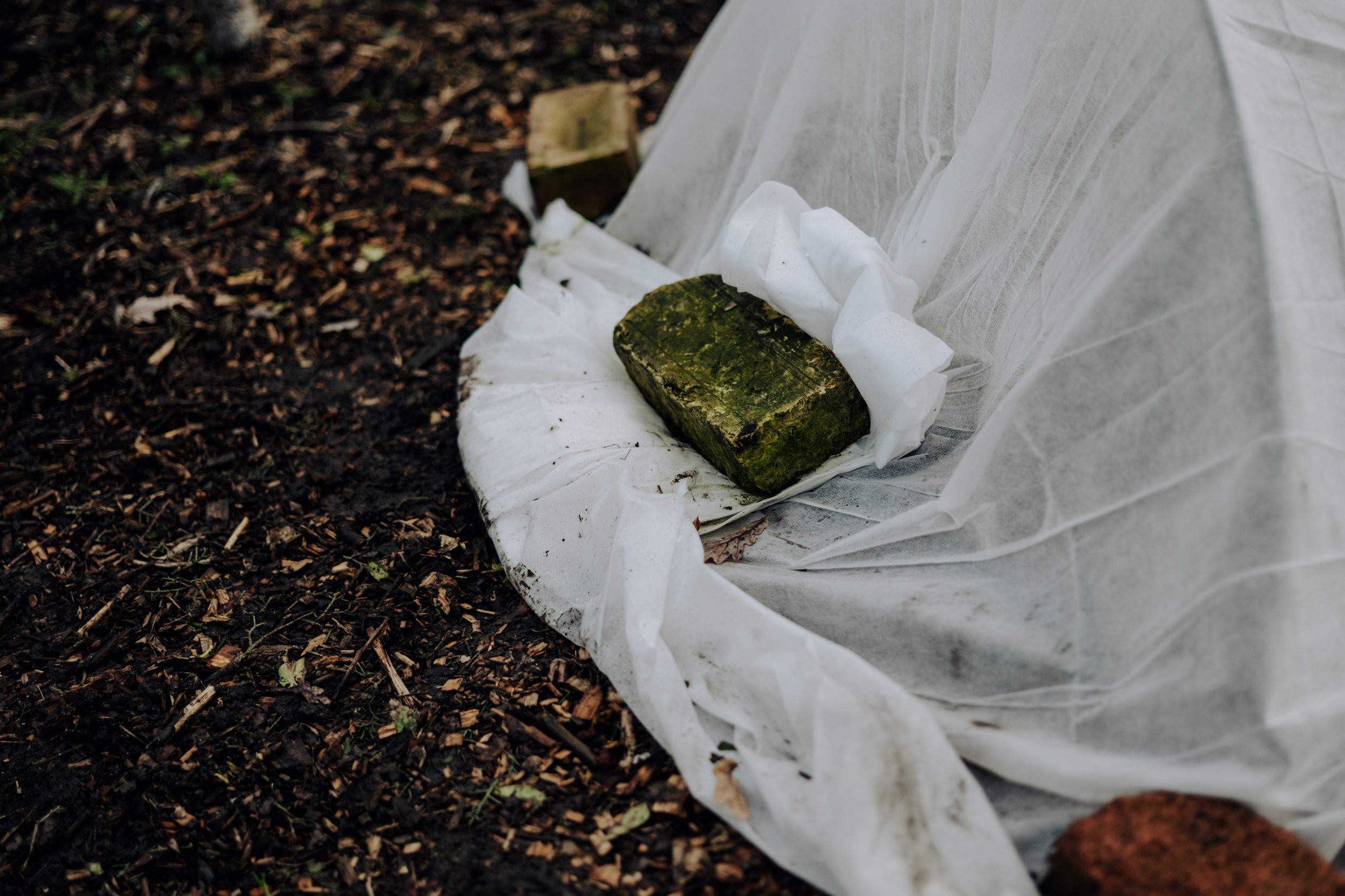 A Year at the Allotment December 2025-150.jpg