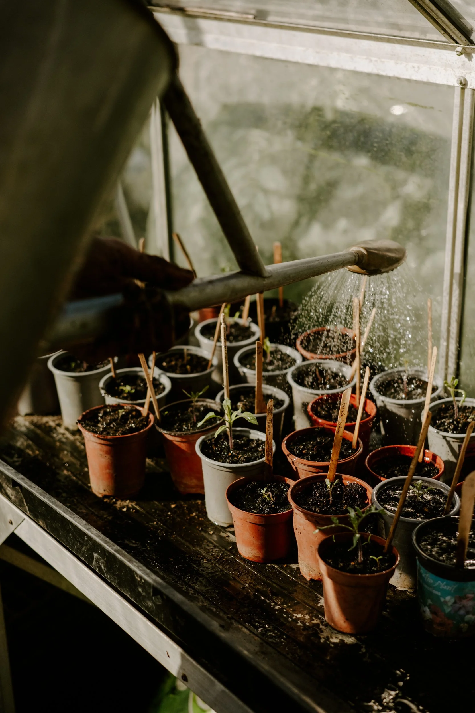 A Year At The Allotment_April-157.jpg