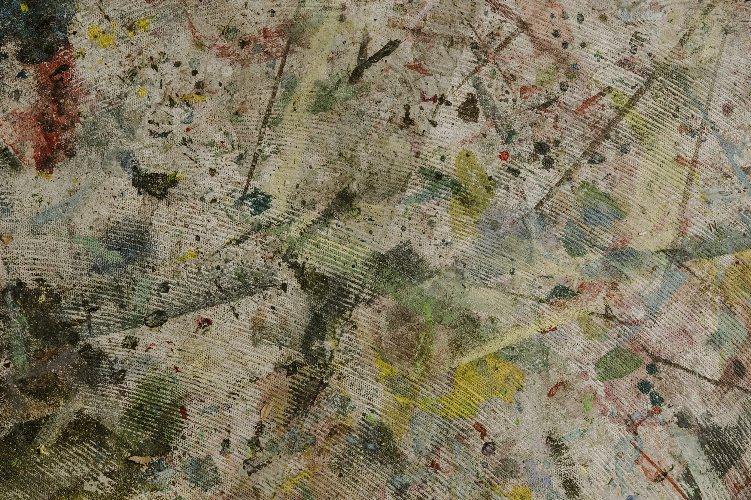 Beatrice Nespega-1010.jpg