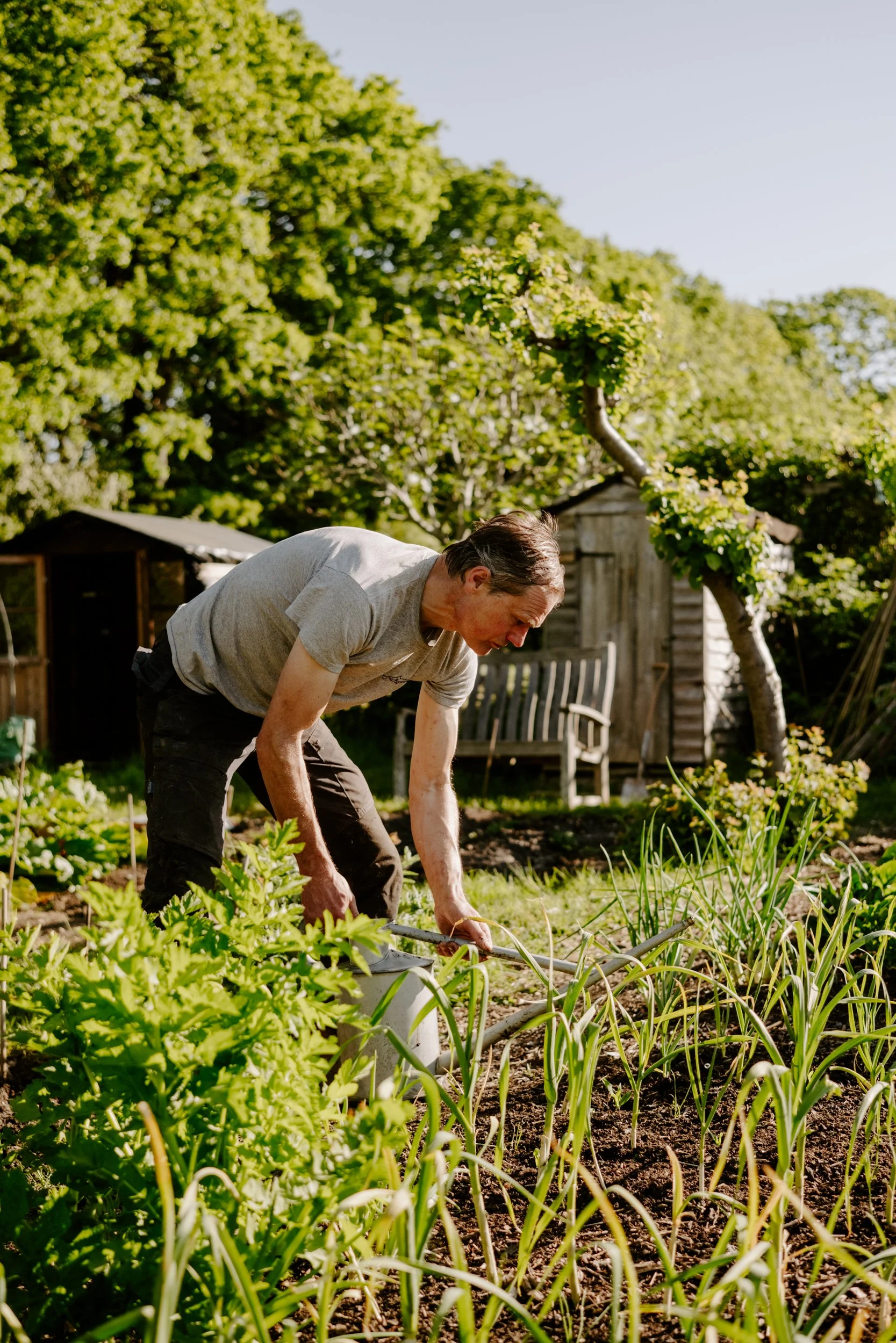 A Year At The Allotment_April-168.jpg