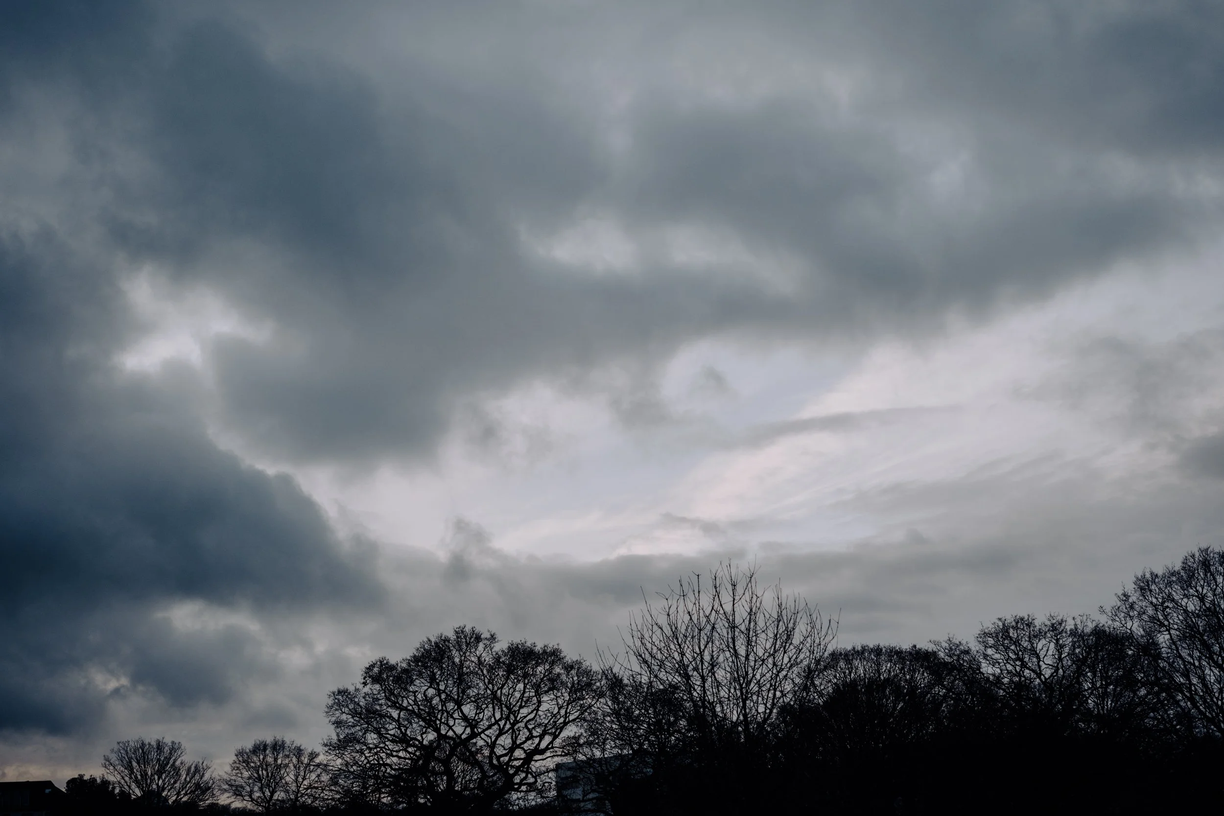 A Year at the Allotment December 2025-132.jpg