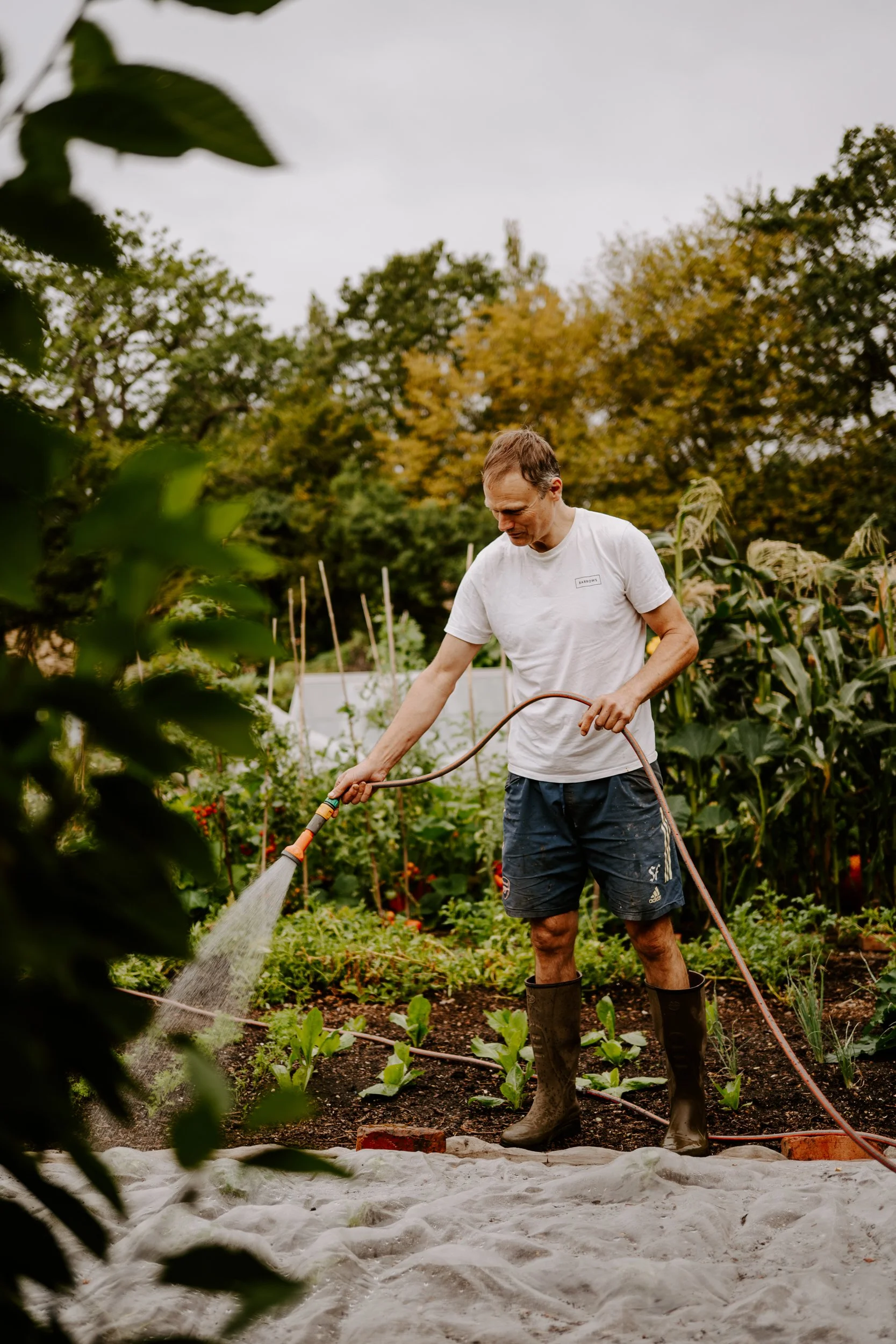 A Year at the allotment_August 2026-125.jpg