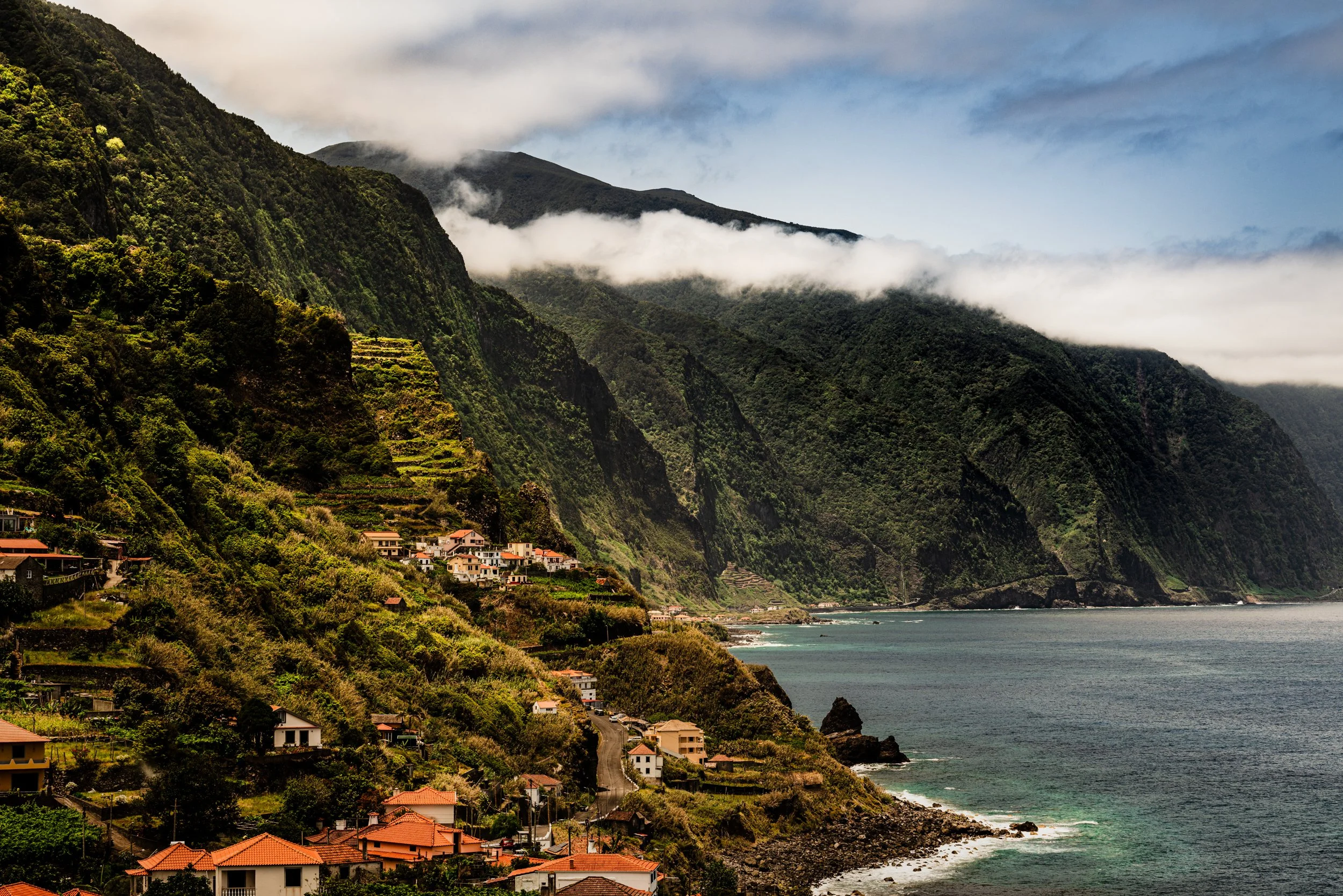 20240605-Purple_Bushmills_Madeira-217.jpg