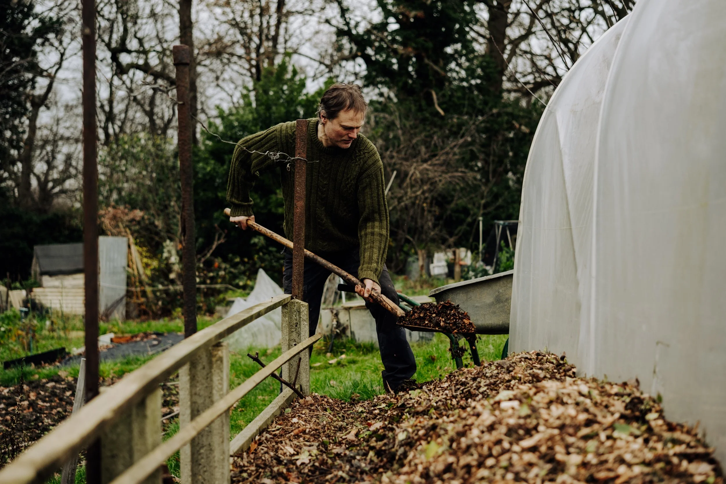 A Year at the Allotment December 2025-170.jpg