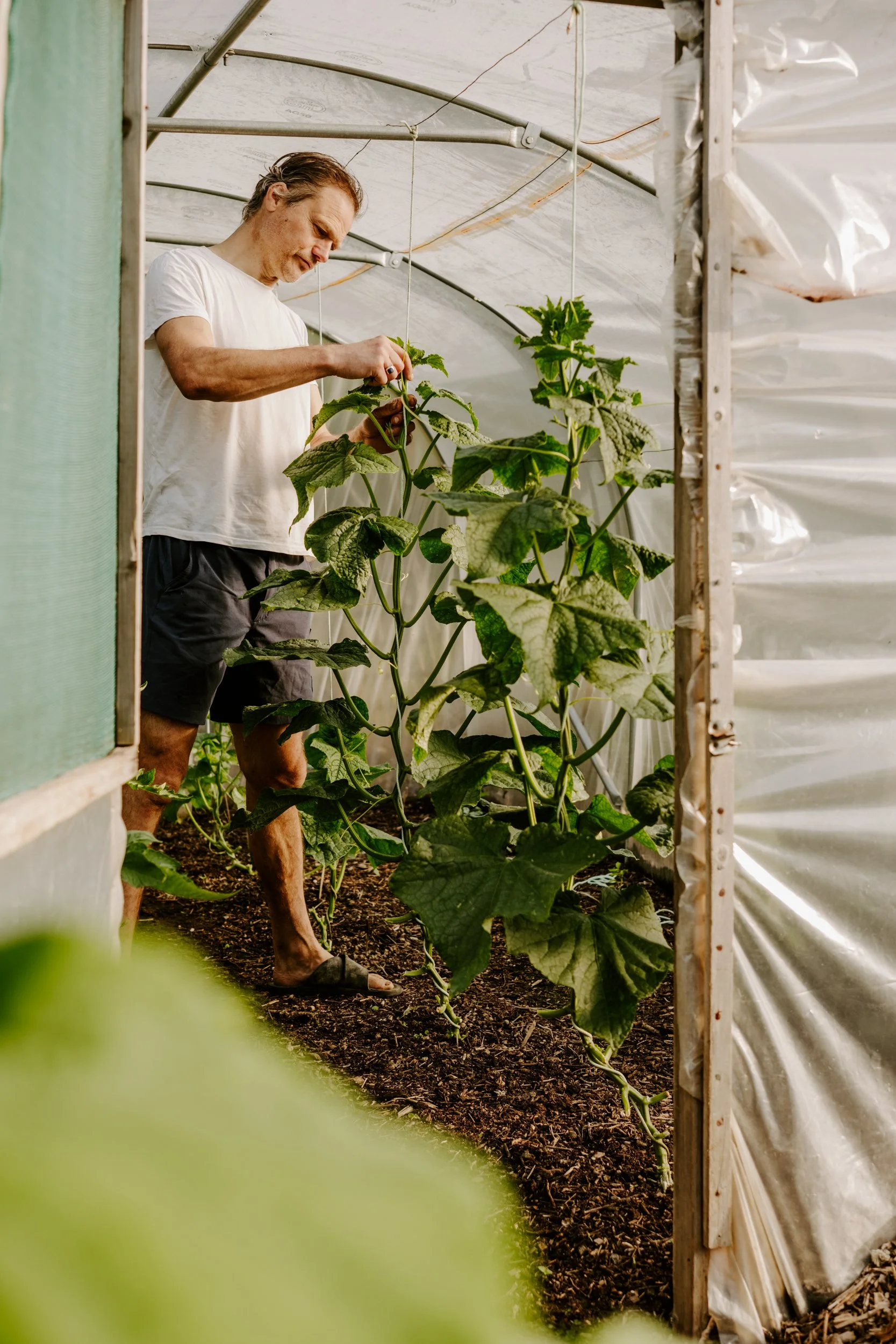 TSP_A Year At The Allotment_July 2026-110.jpg