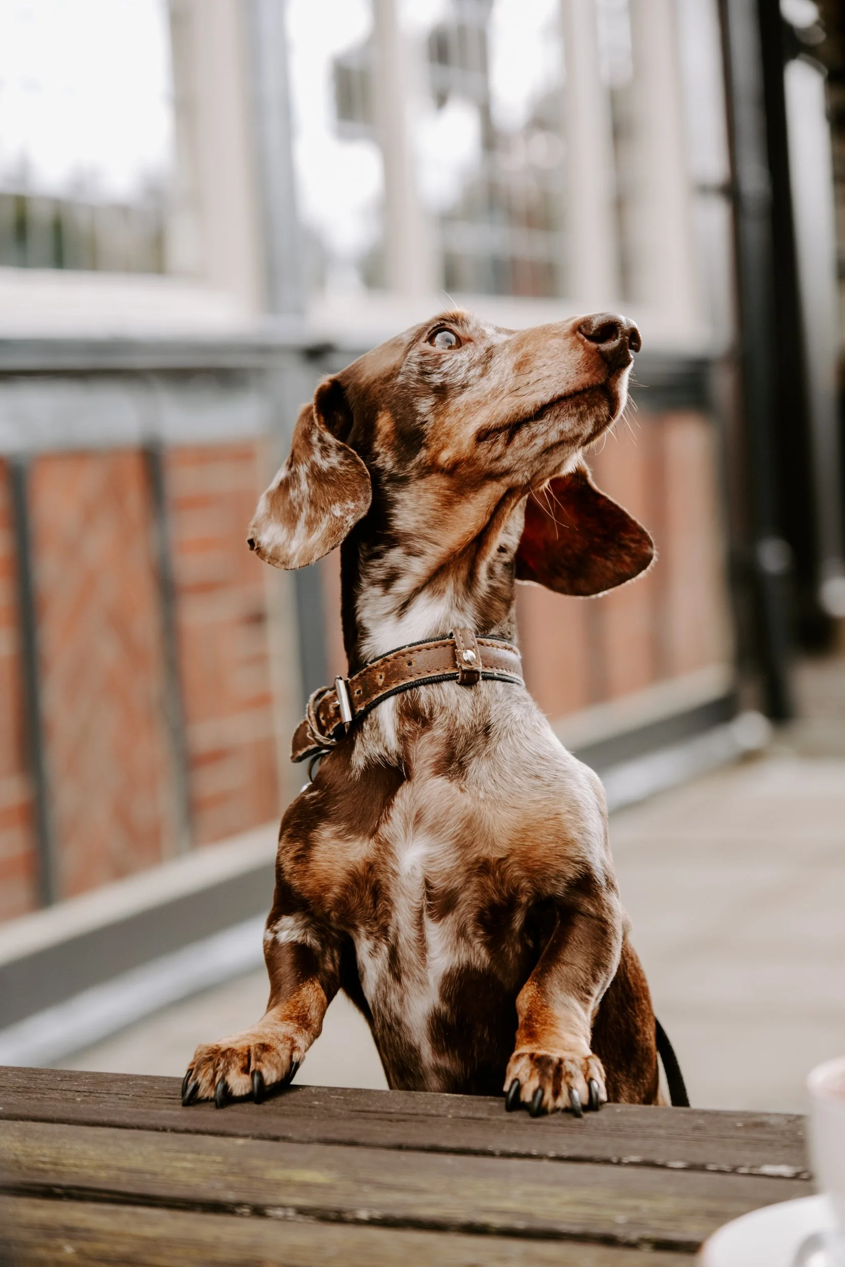 TSP250924_Thomas A Becket-176.jpg