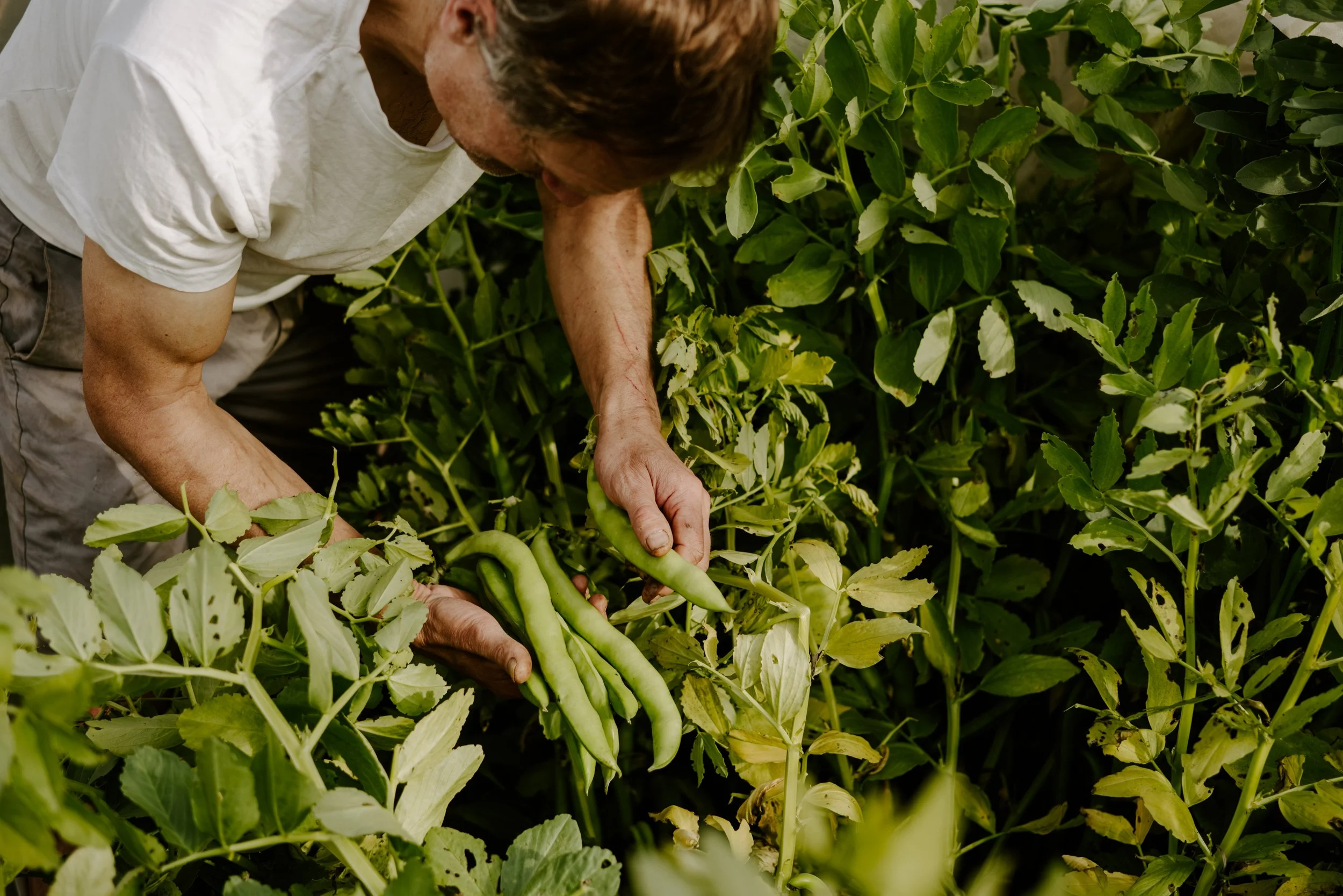A Year at the Allotment_May 2026-123.jpg