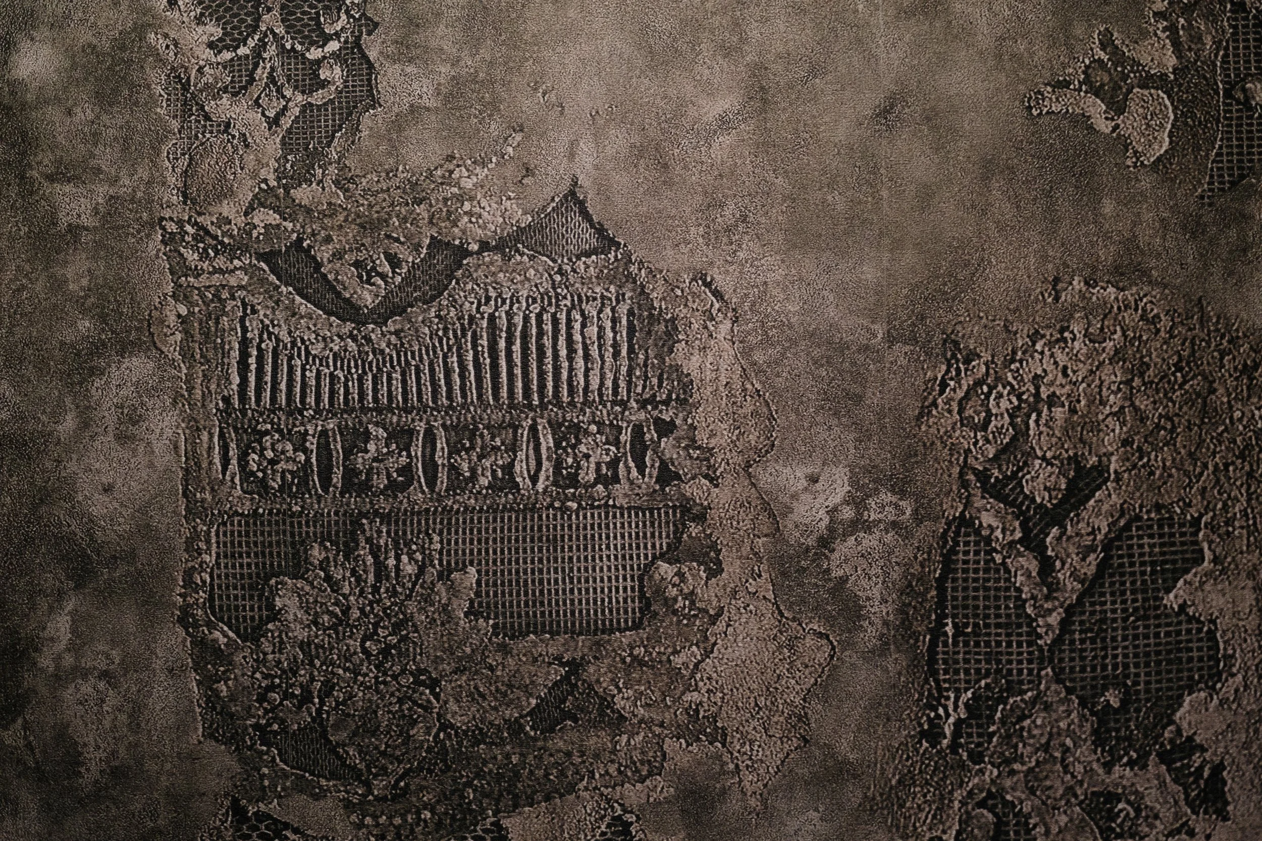 TSP211125-118.jpg
