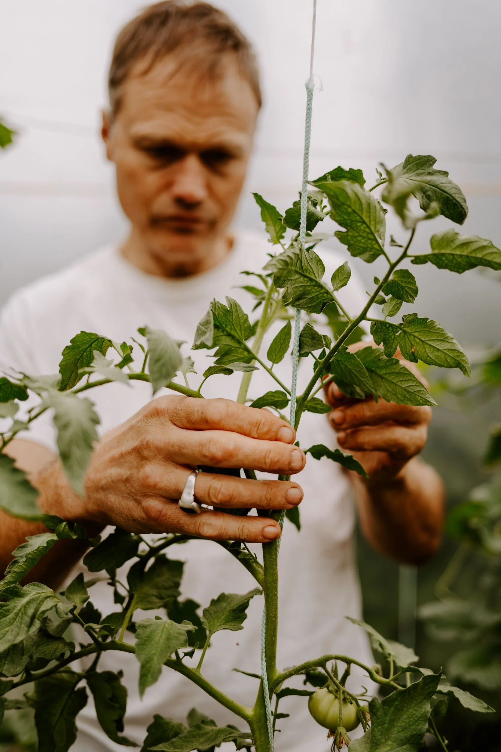 A Year at the allotment_August 2026-190.jpg