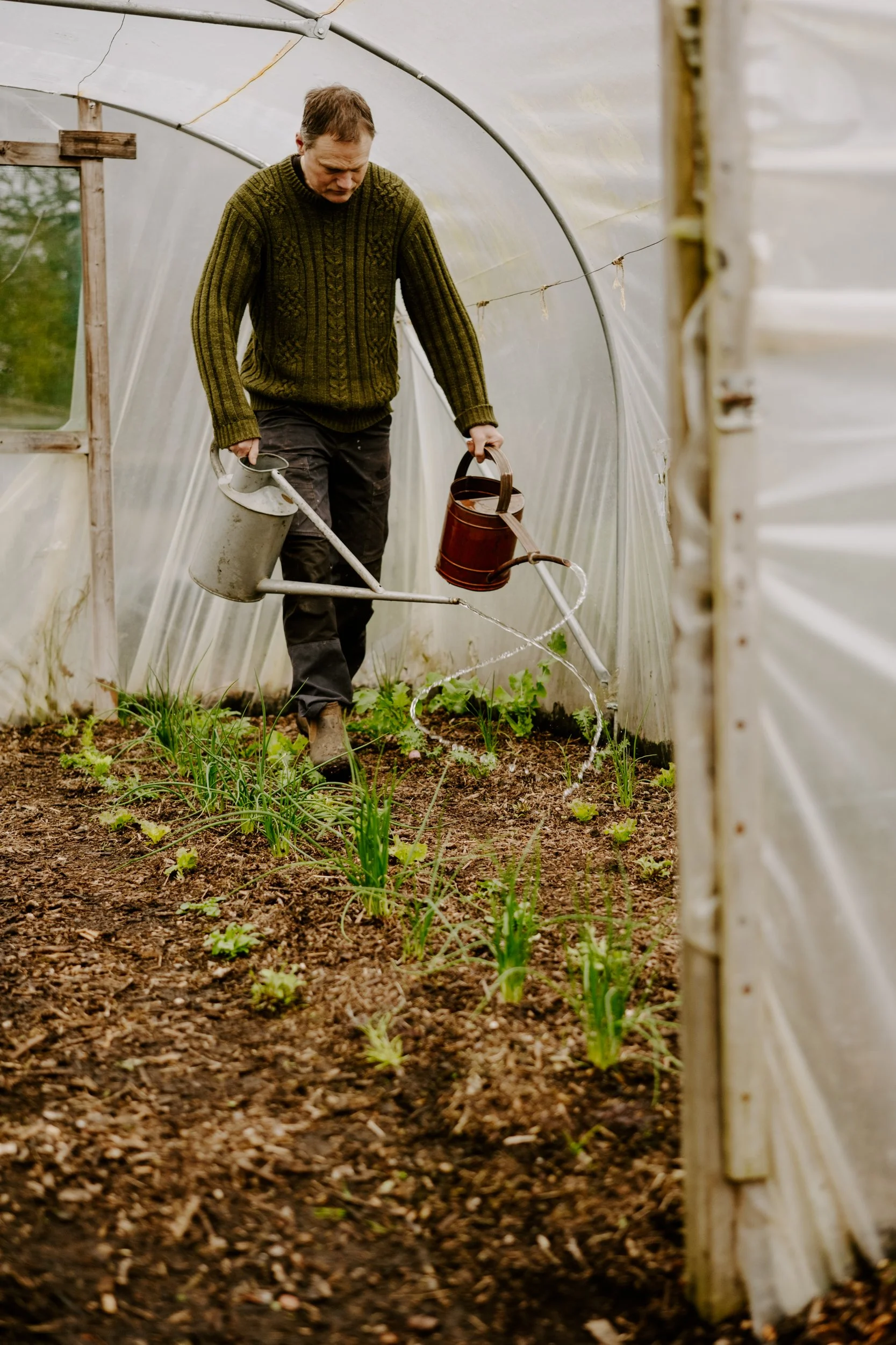 A Year at the allotment_February 2026-133.jpg