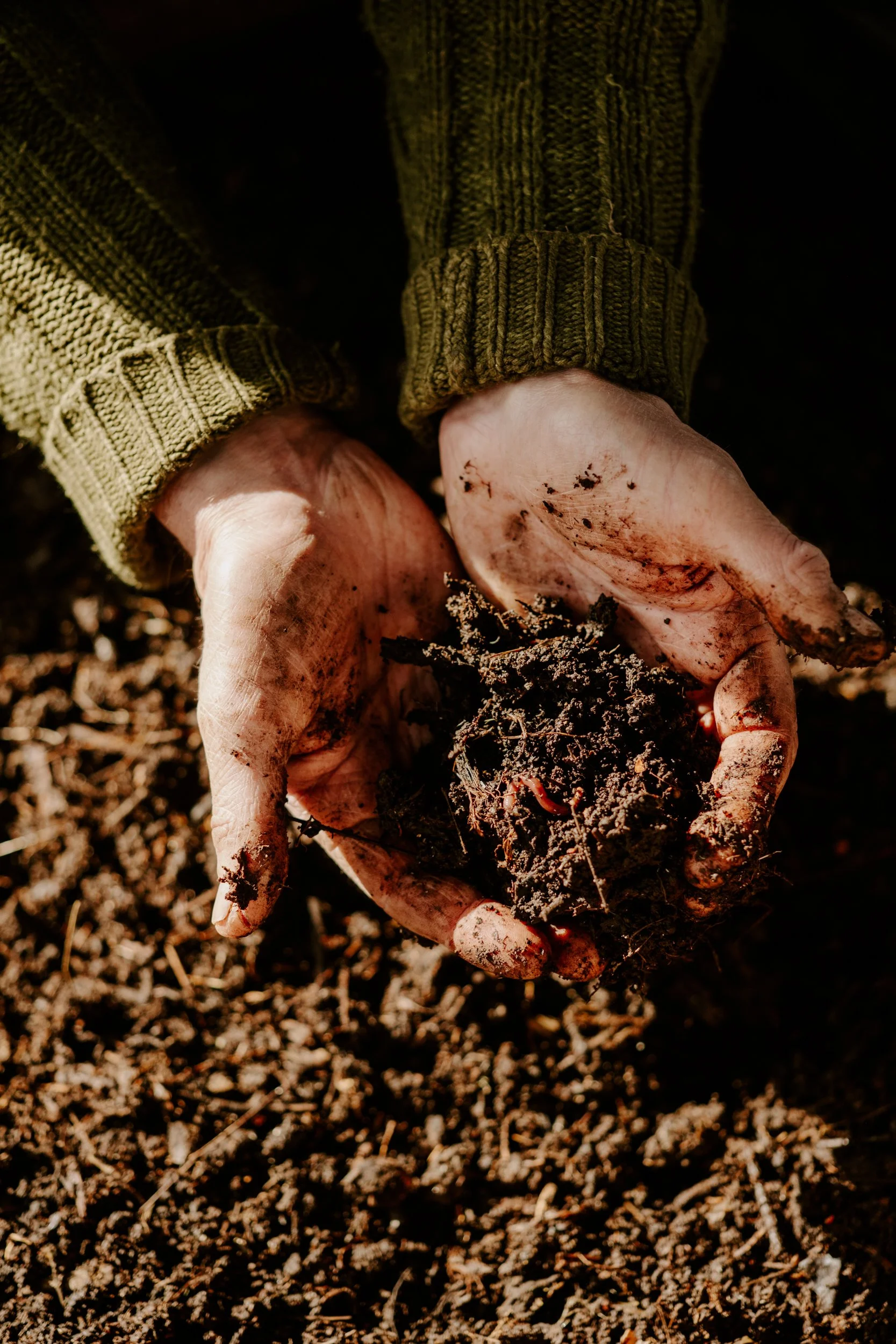 A Year at the Allotment_March-217.jpg