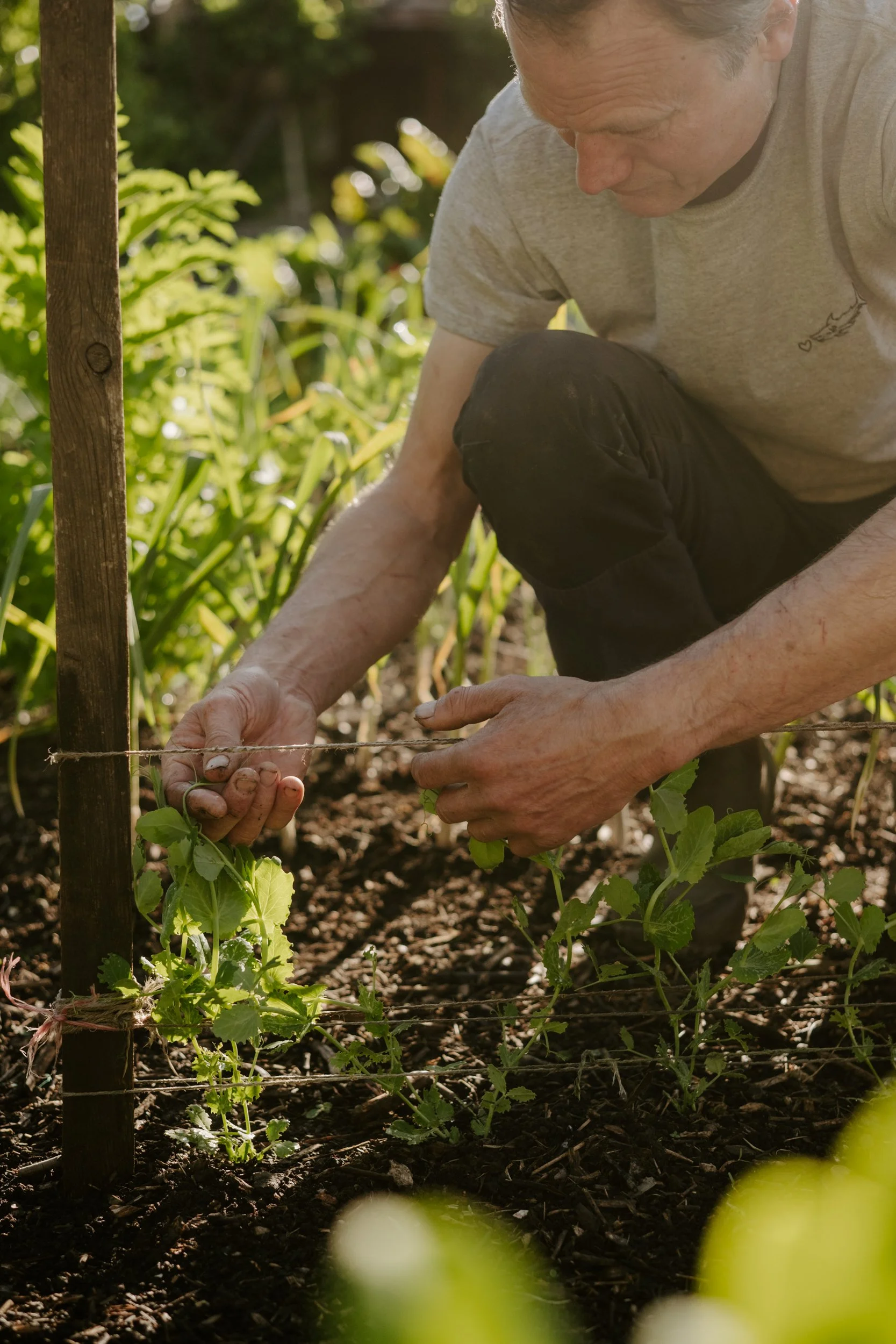 A Year At The Allotment_April-128.jpg