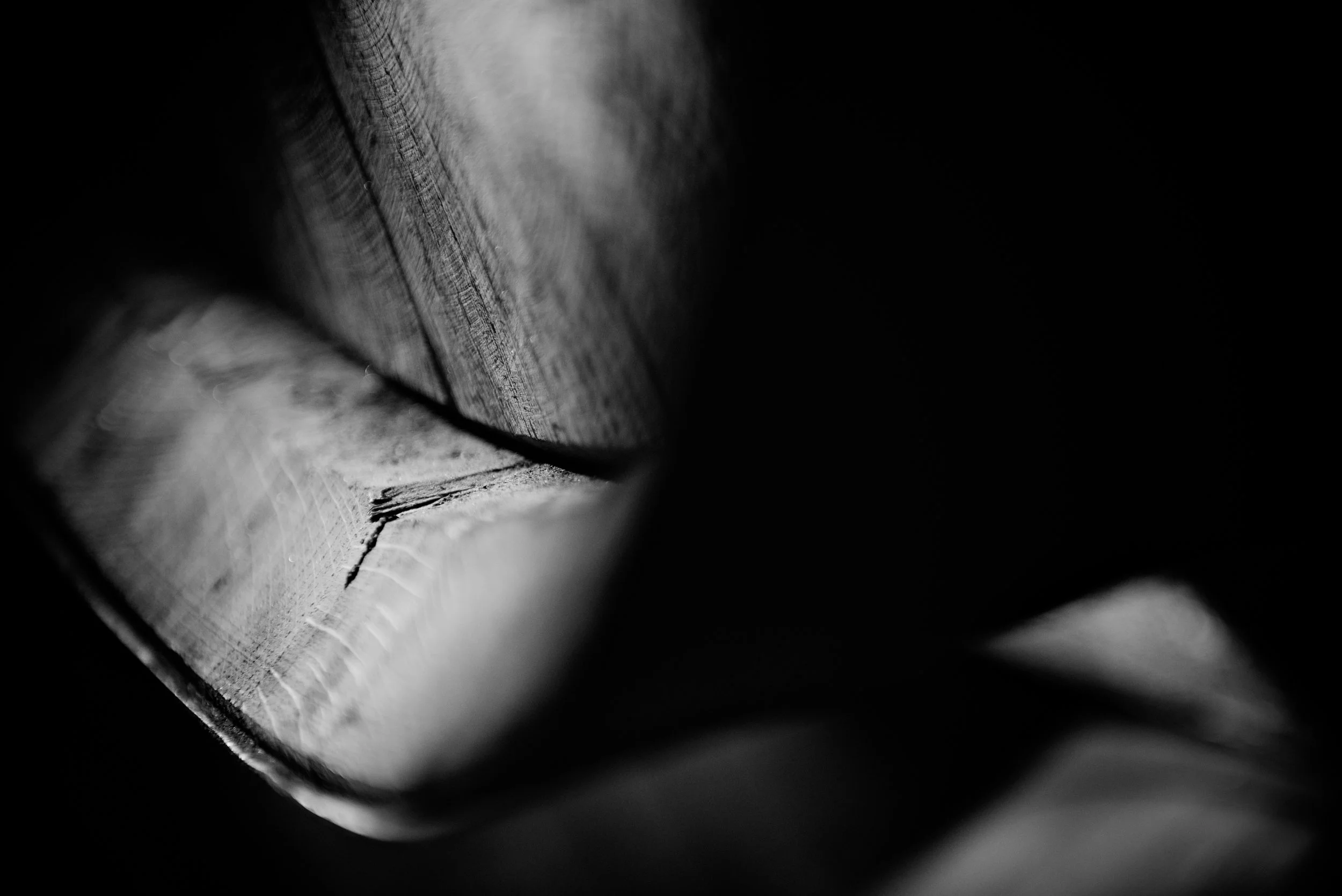 Thomas Skovsende Website-Hidden Treasure-115.jpg