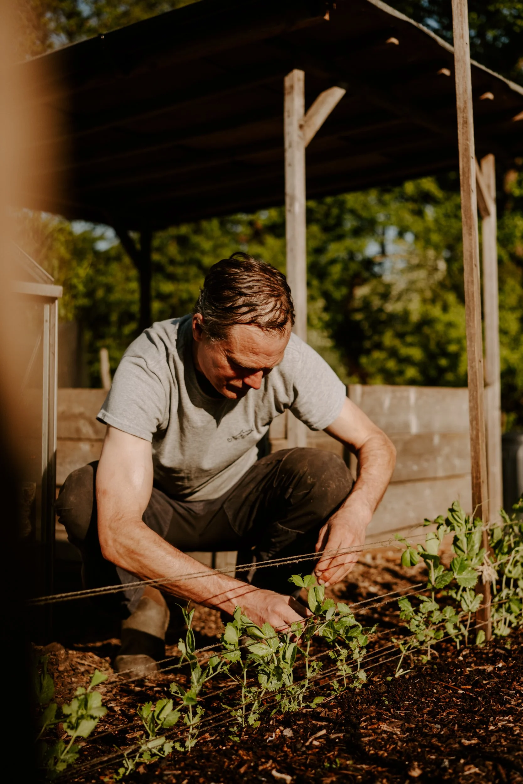 A Year At The Allotment_April-122.jpg